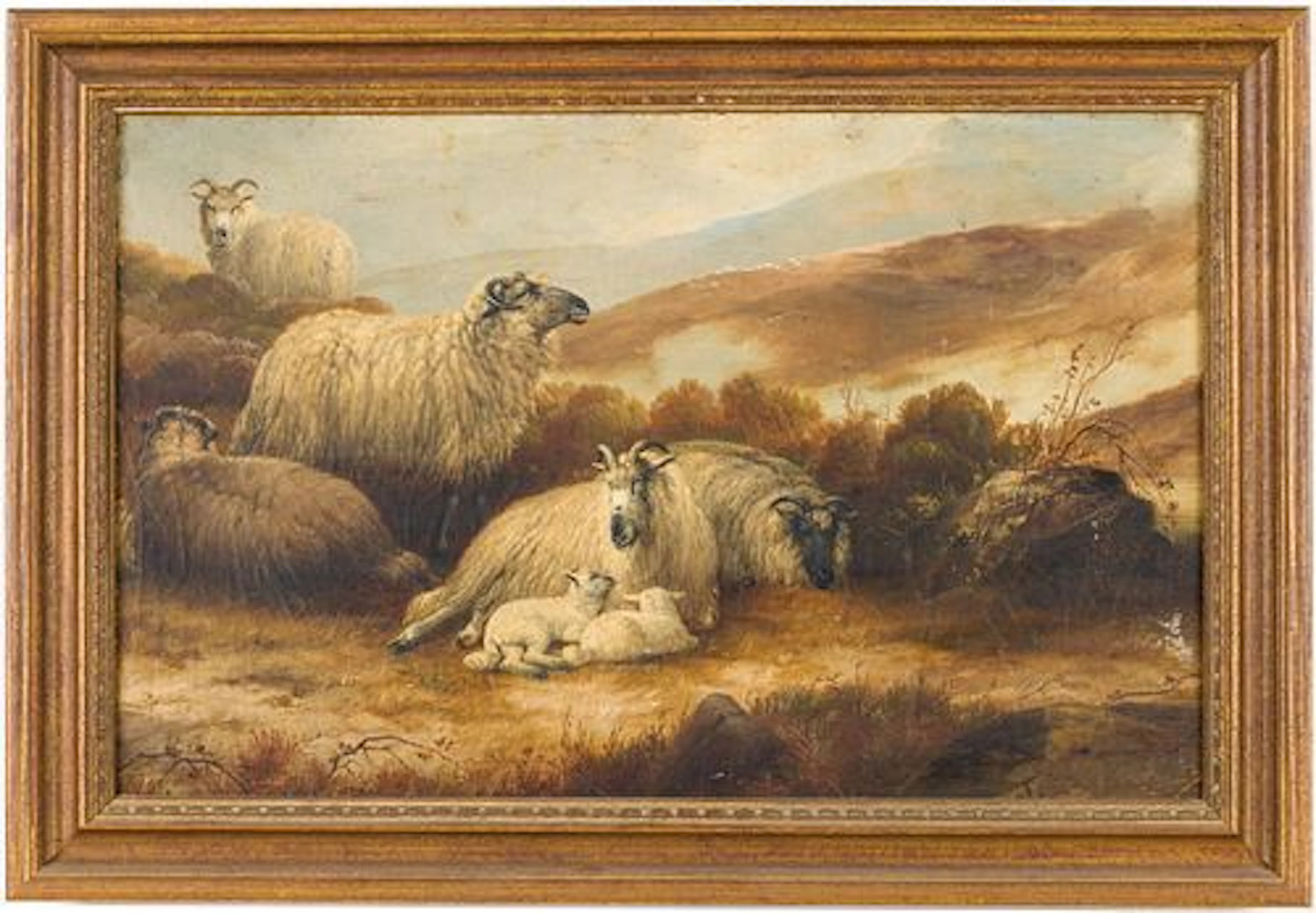 Unsigned, Sheep, Oil on Board, 19th Century