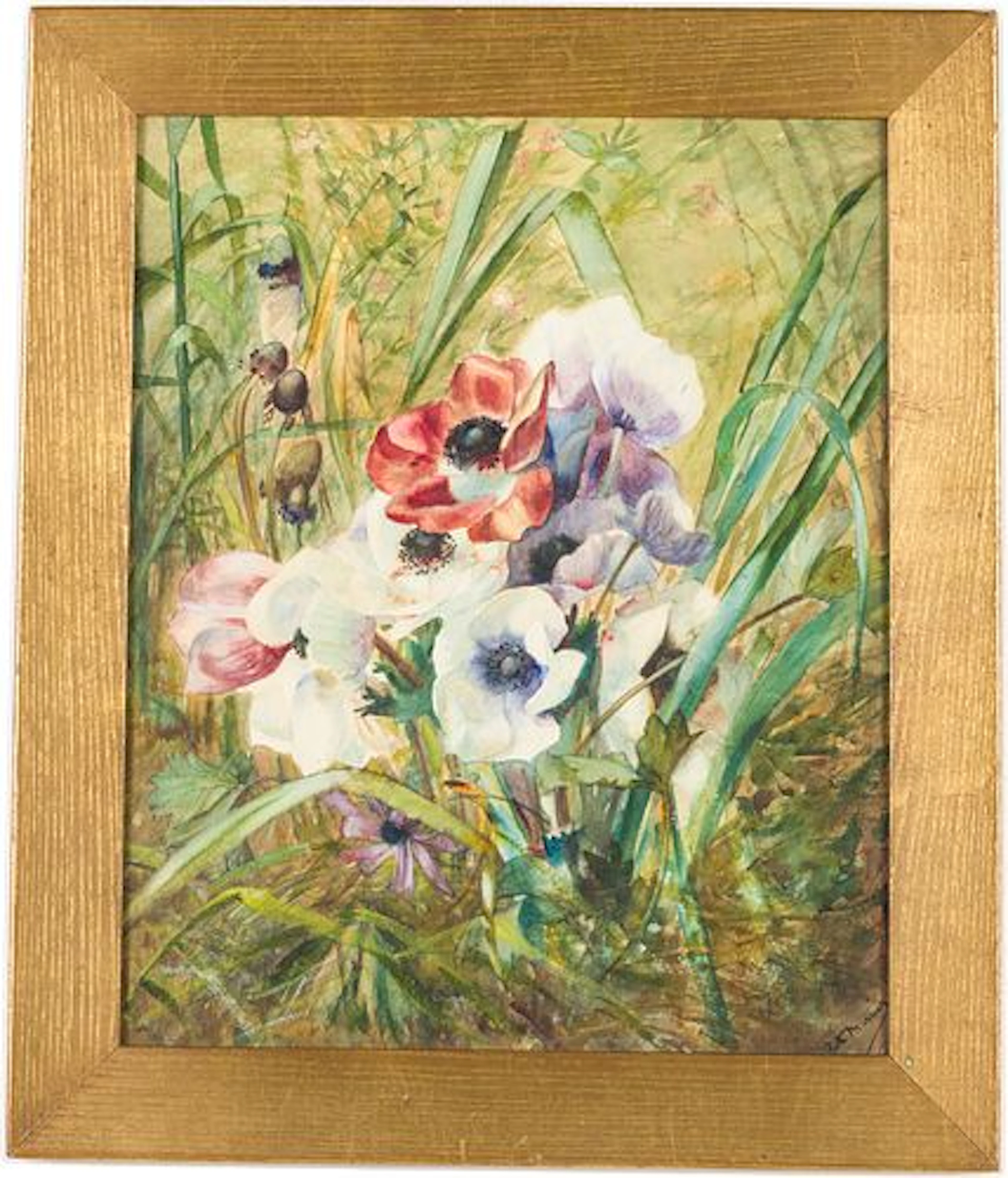 Ruth Mercier (Swiss, 1880-1913) Anenomes, Watercolor