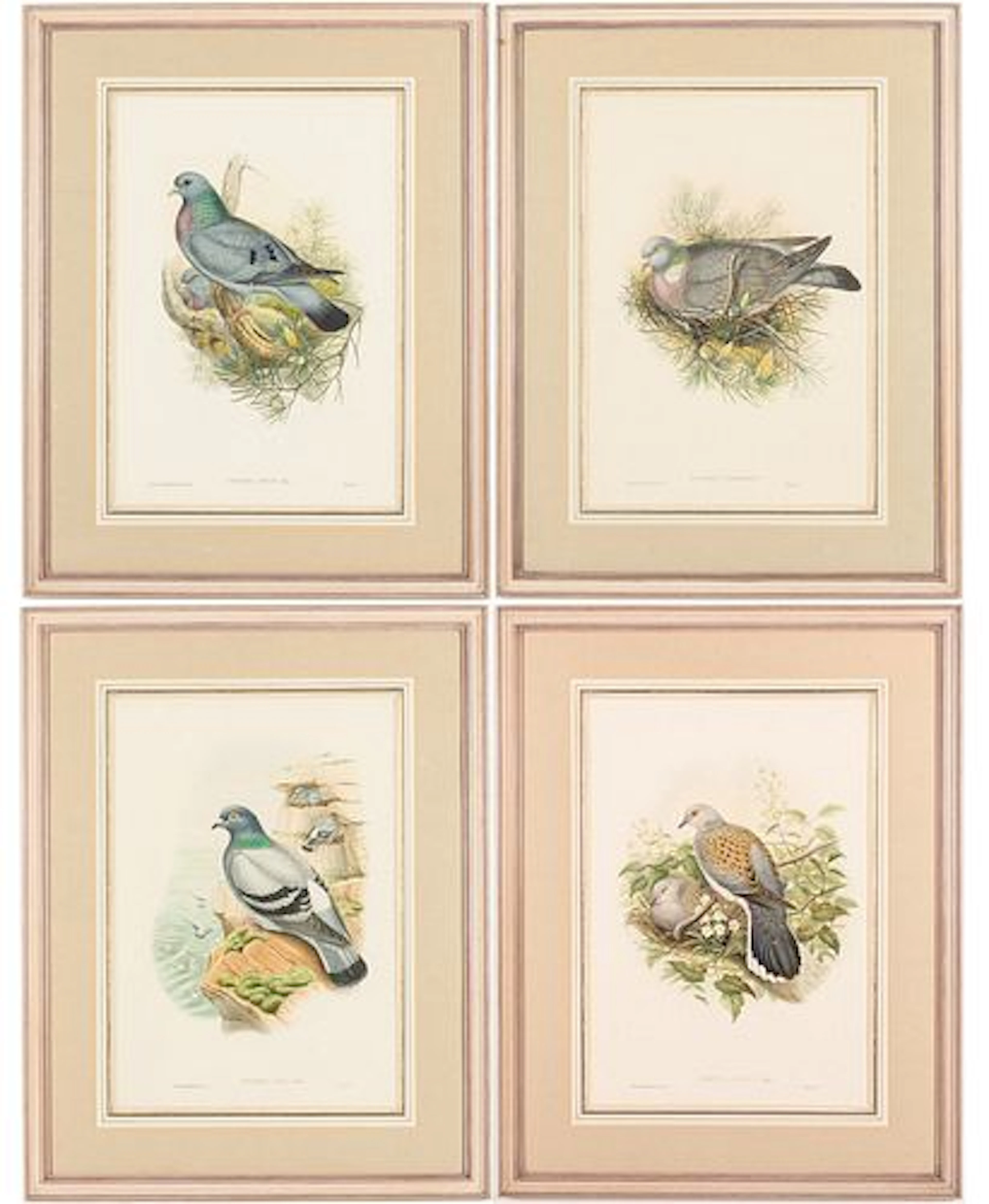 John Cloud & H.C. Richter, 4 Bird Engravings, 19th C