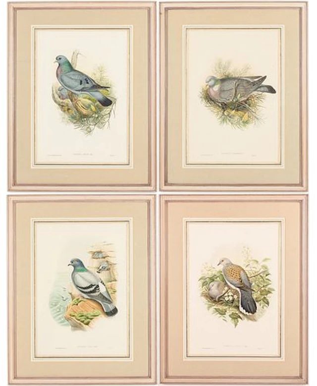 John Cloud & H.C. Richter, 4 Bird Engravings, 19th C