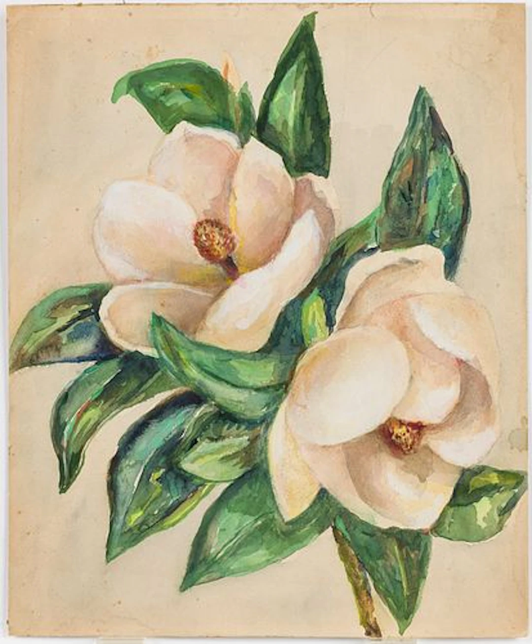 Christopher Murphy Jr (Sav, 1902-1973) Magnolias W/C