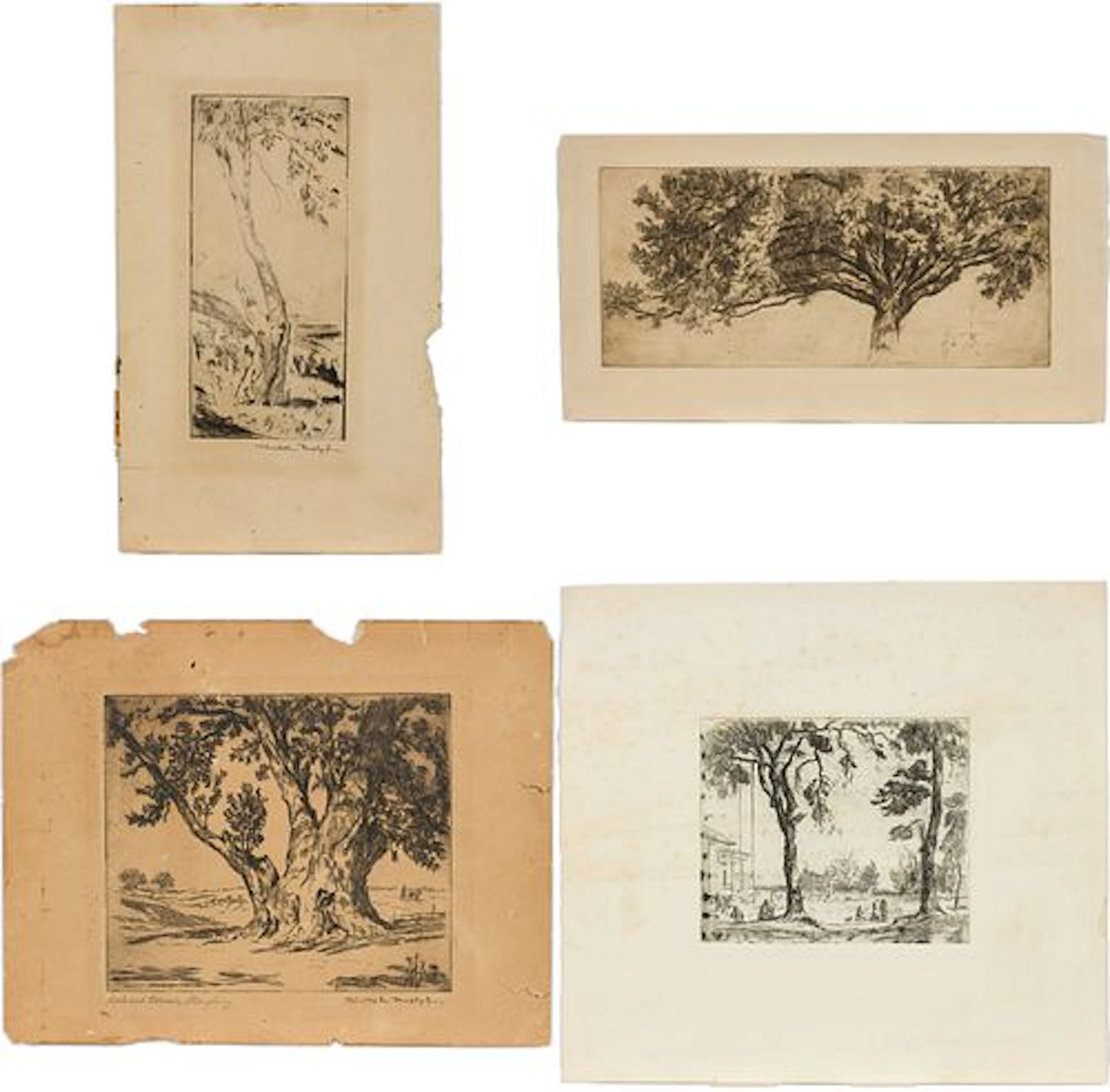Christopher Murphy Jr., 4 Nature Etchings