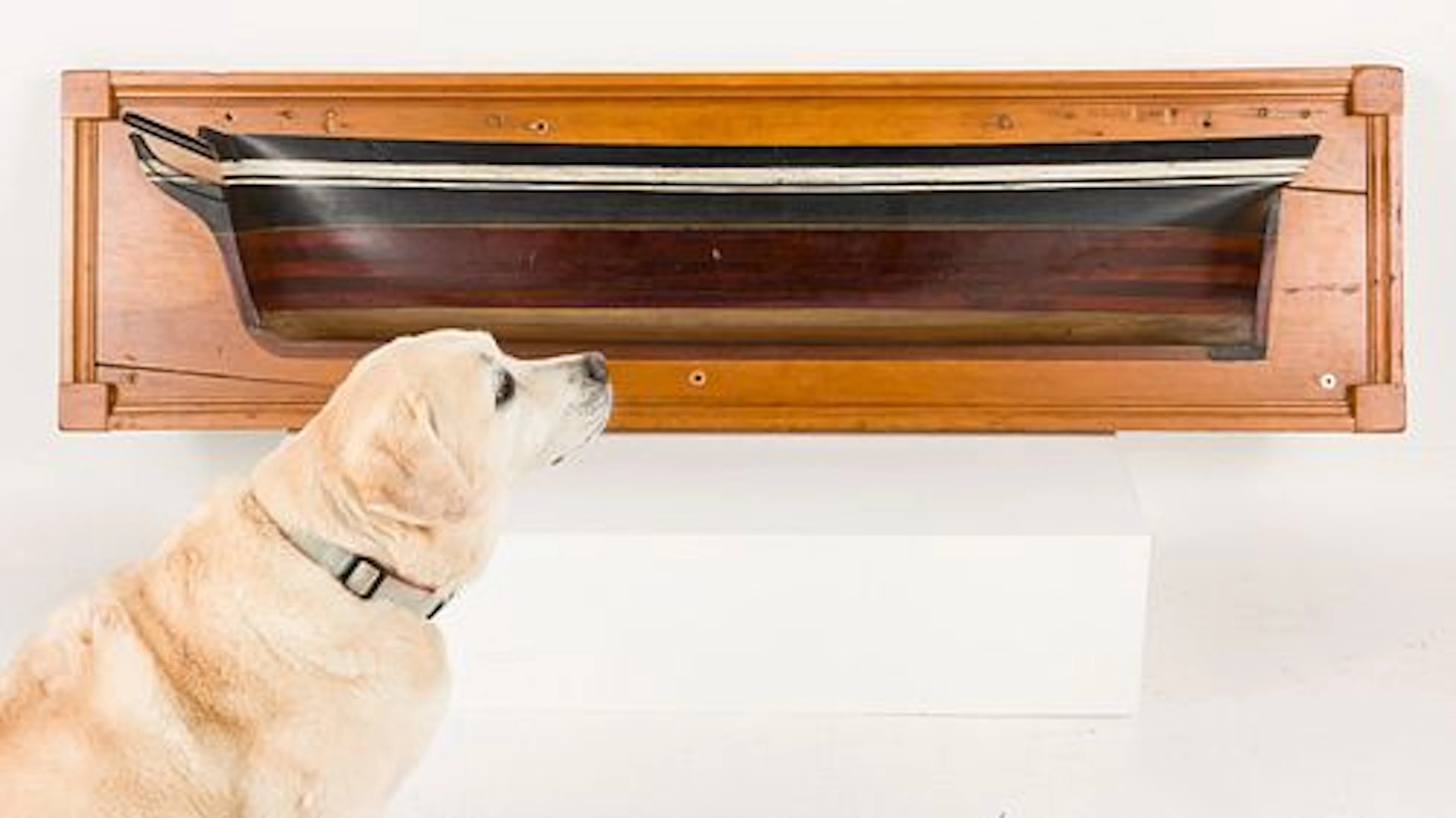 Large Wood Half Hull Model