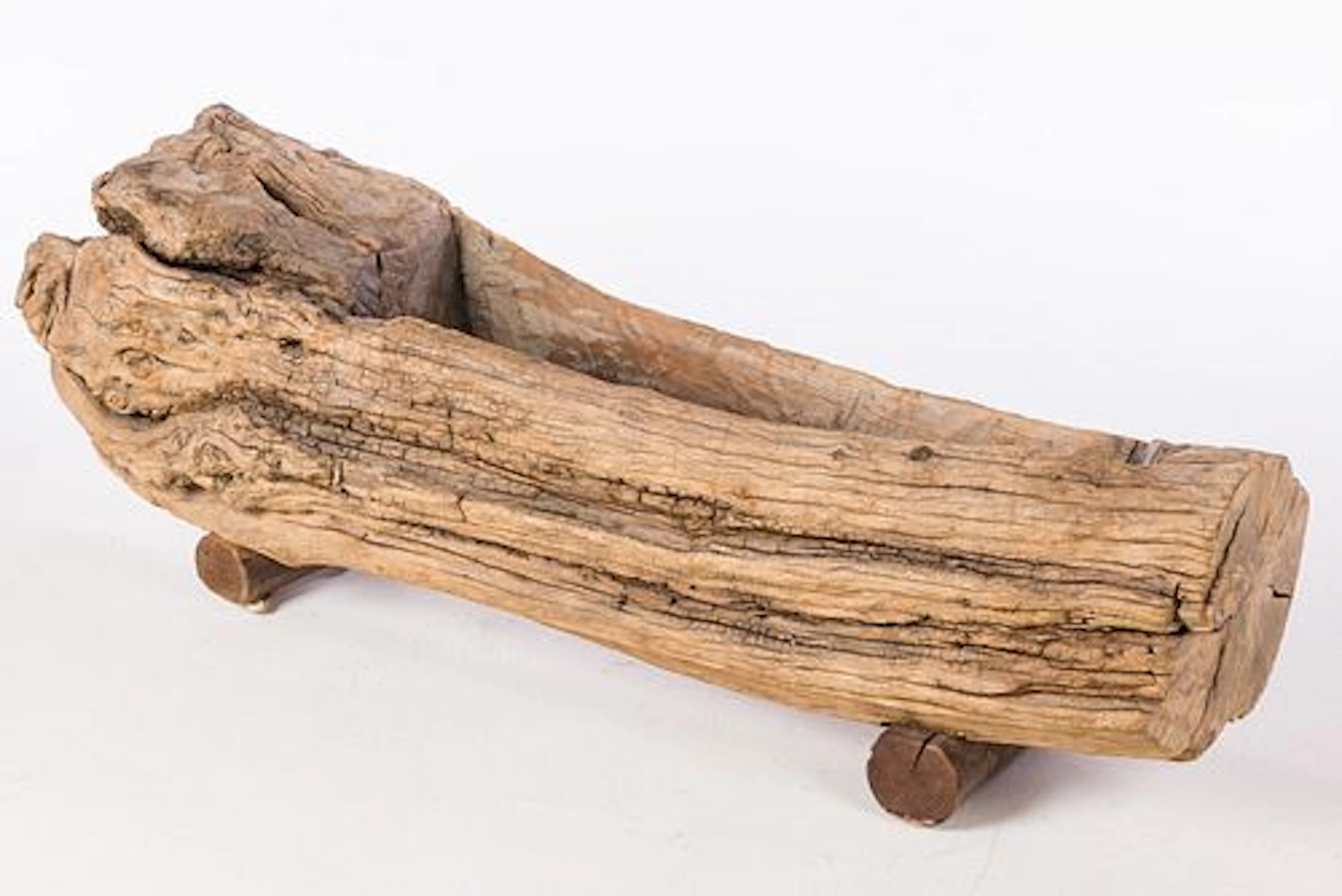 Hollowed Tree Trunk Planter