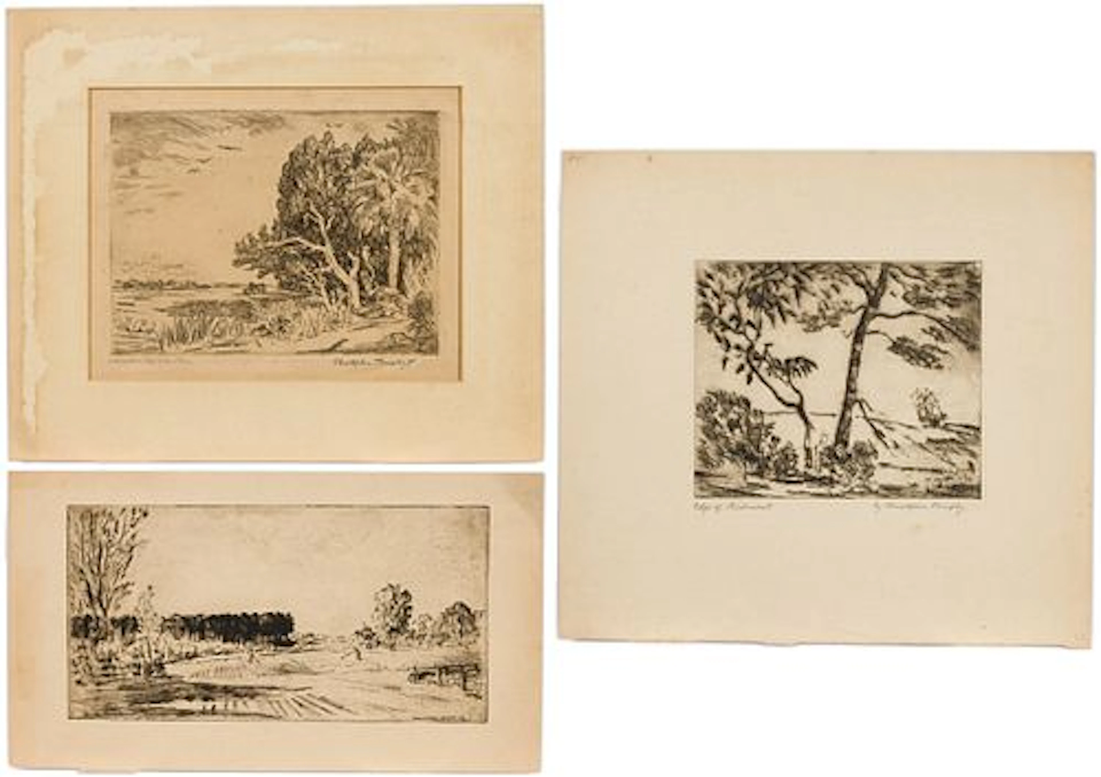 Christopher Murphy Jr., 3 Savannah Coastal Etchings