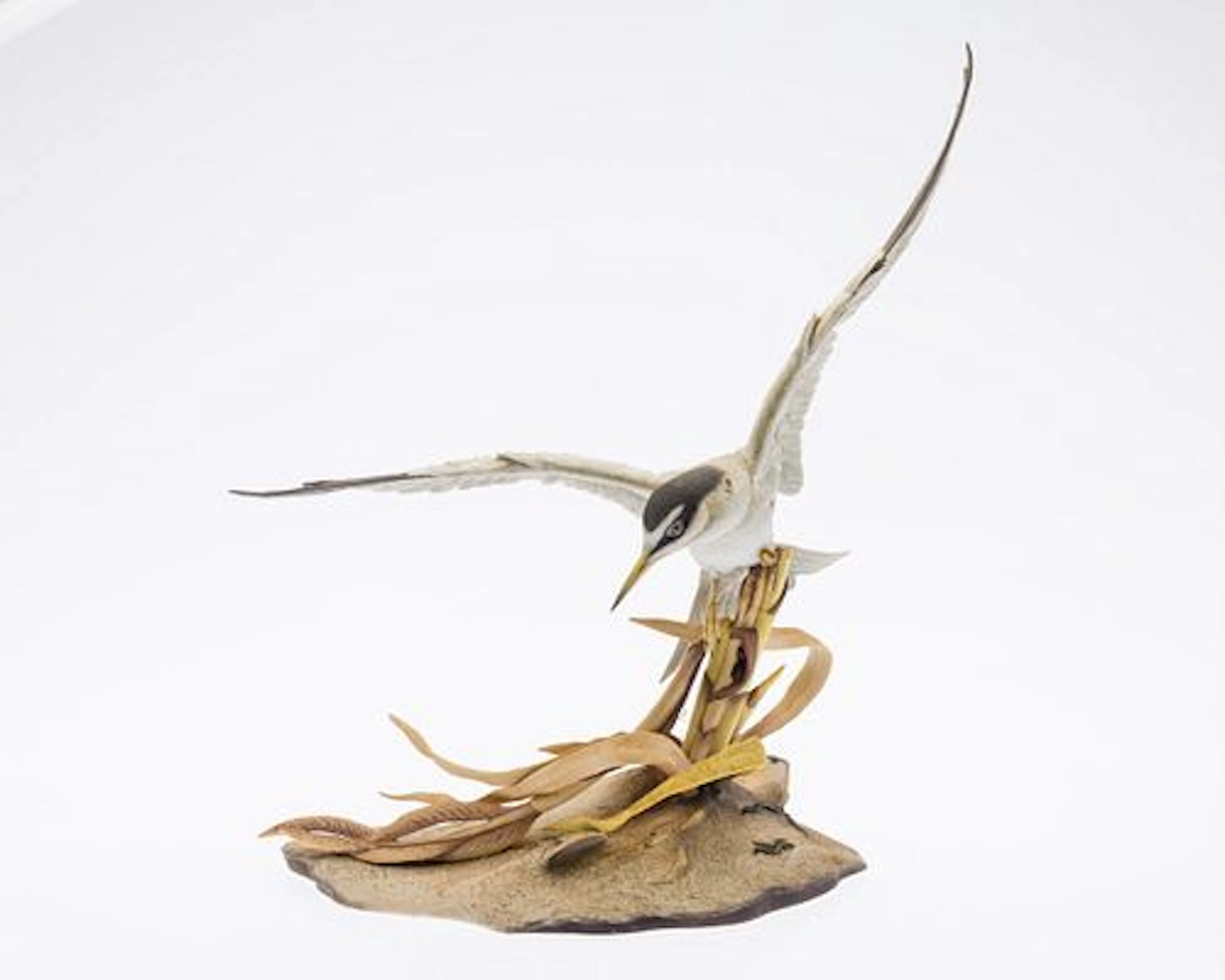 Boehm Least Tern Porcelain Figurine