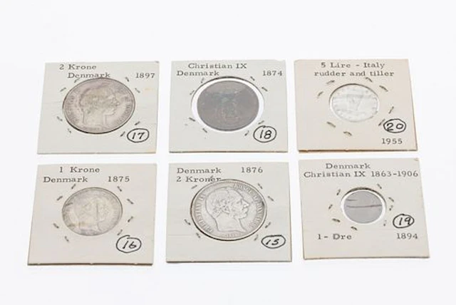 6 Misc. 19-20th C coins