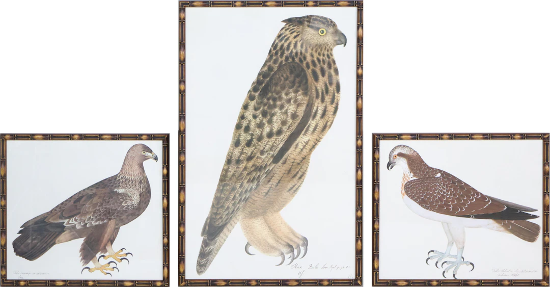 Three Birds of Prey, Prints