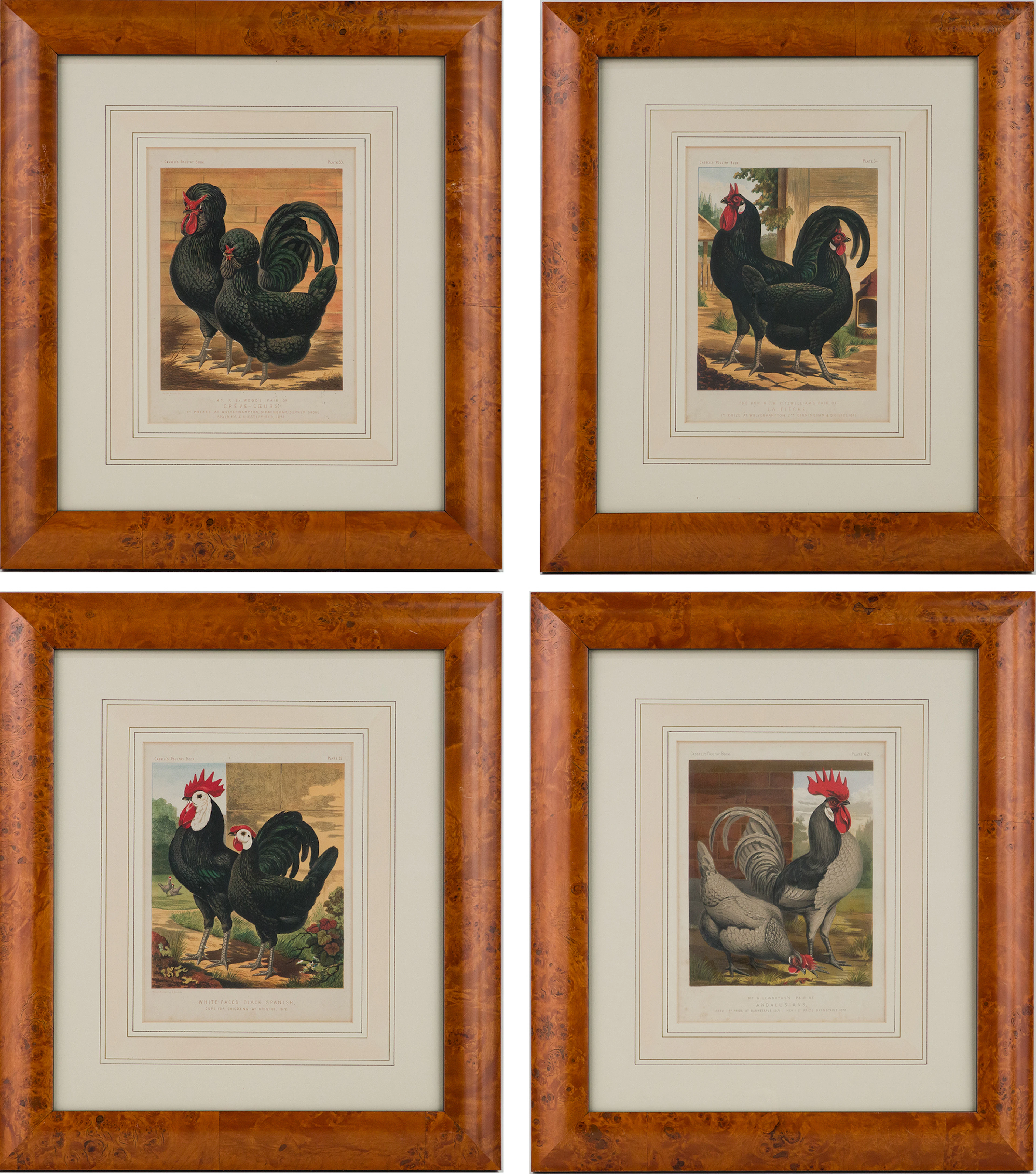 J.W. Ludlow, Four Chicken, Prints