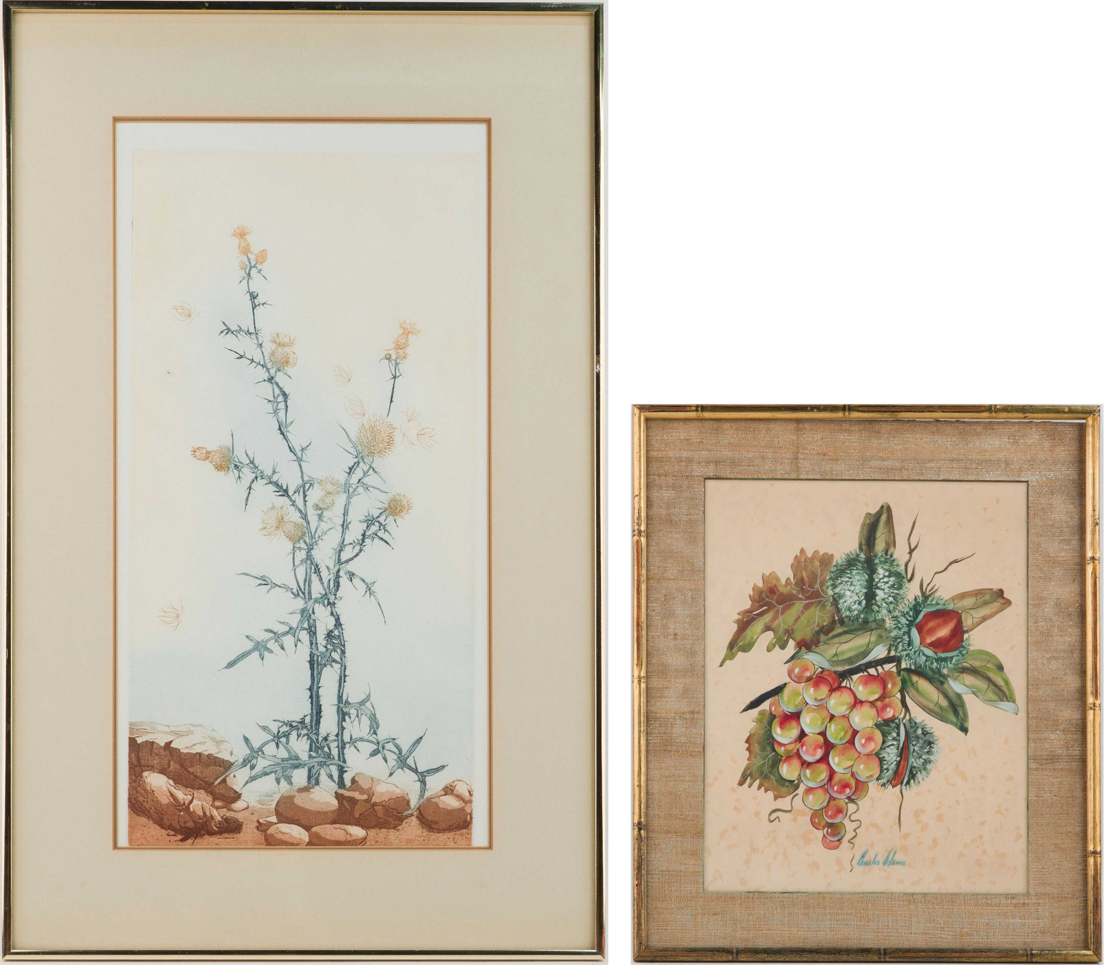 Charles Adams, Still Life of Grapes, Mixed Media on Paper