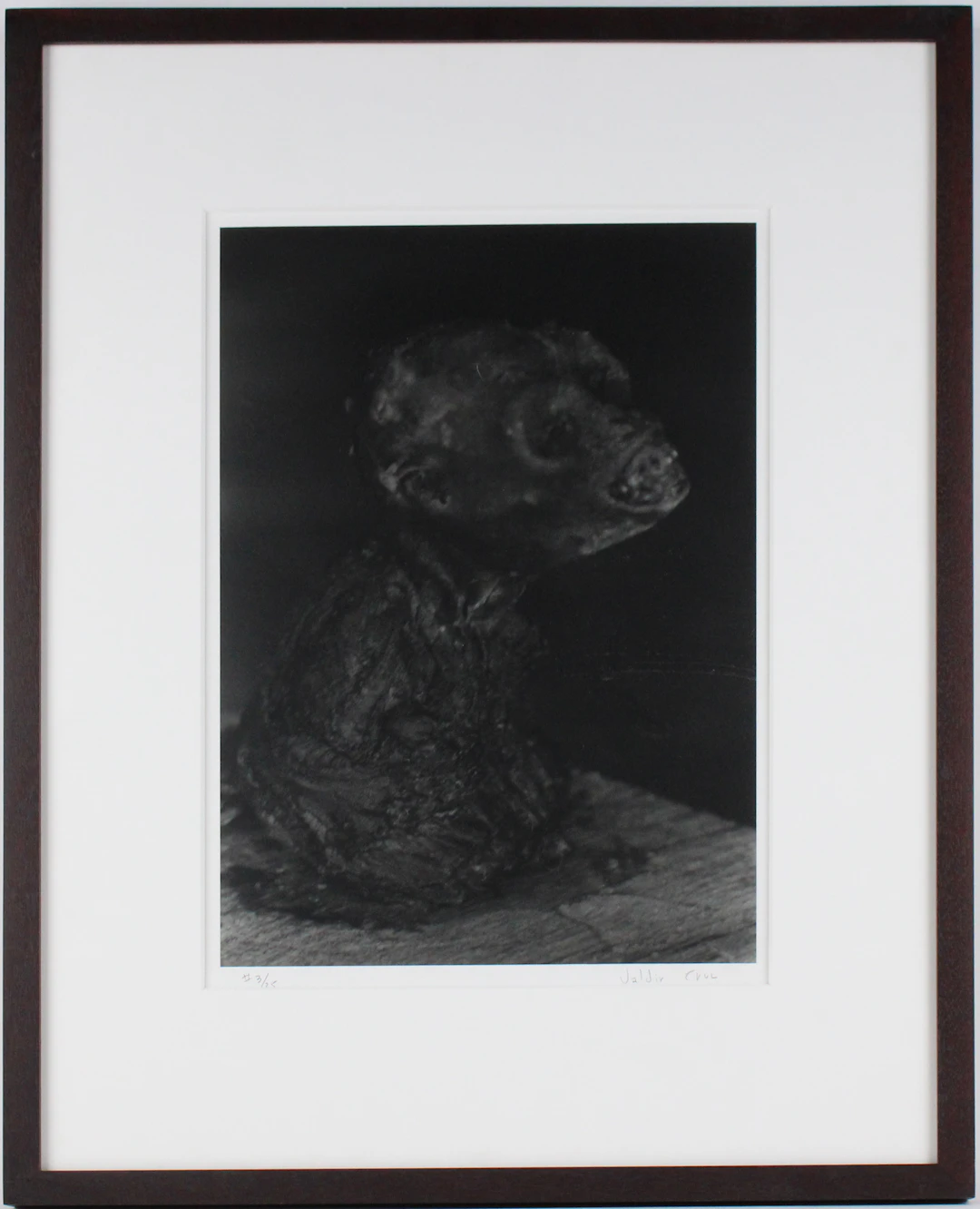 Valdir Cruz, Brazilian 1954-, Untitled, Gelatin Silver Print, Selenium Toned