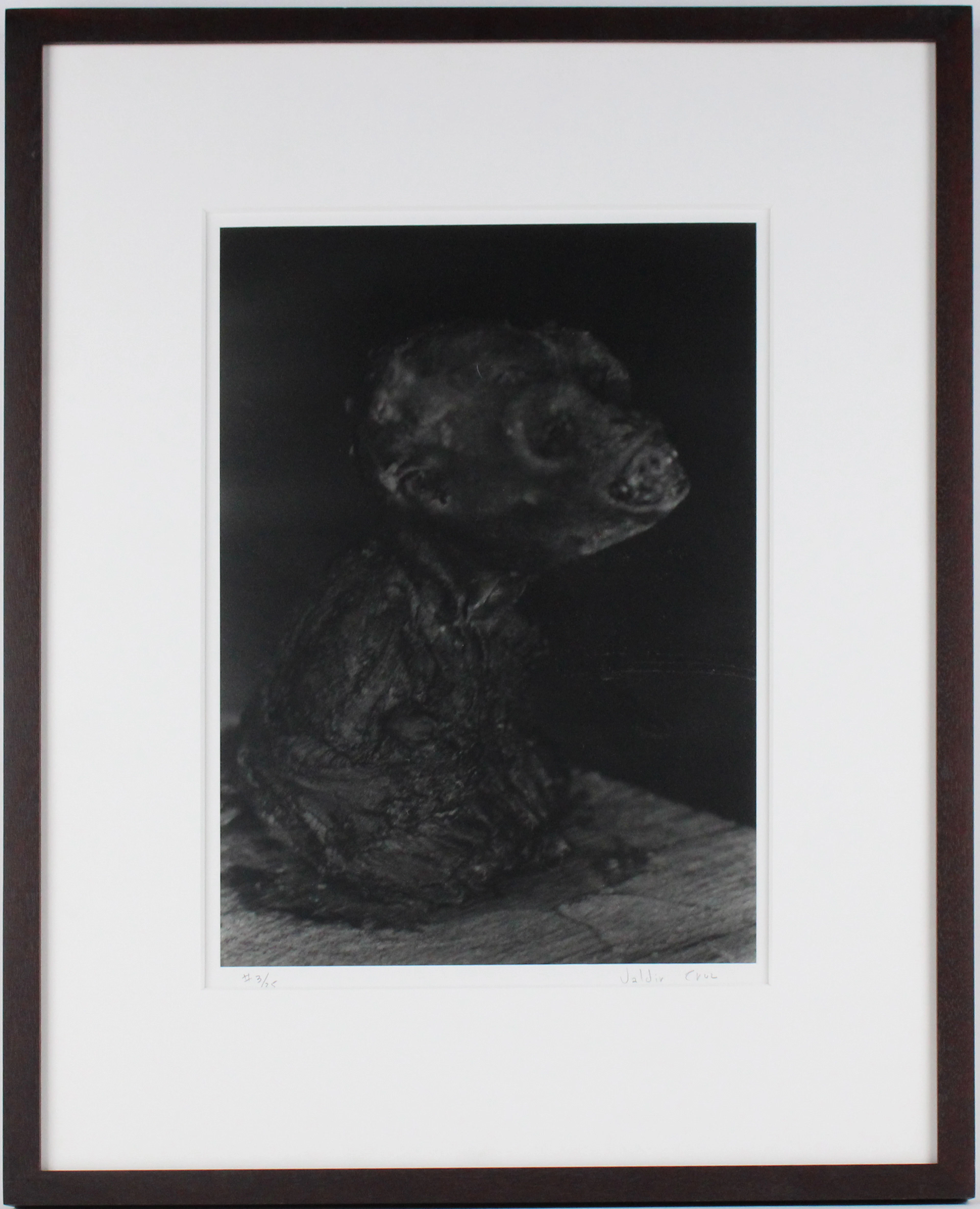 Valdir Cruz, Brazilian 1954-, Untitled, Gelatin Silver Print, Selenium Toned