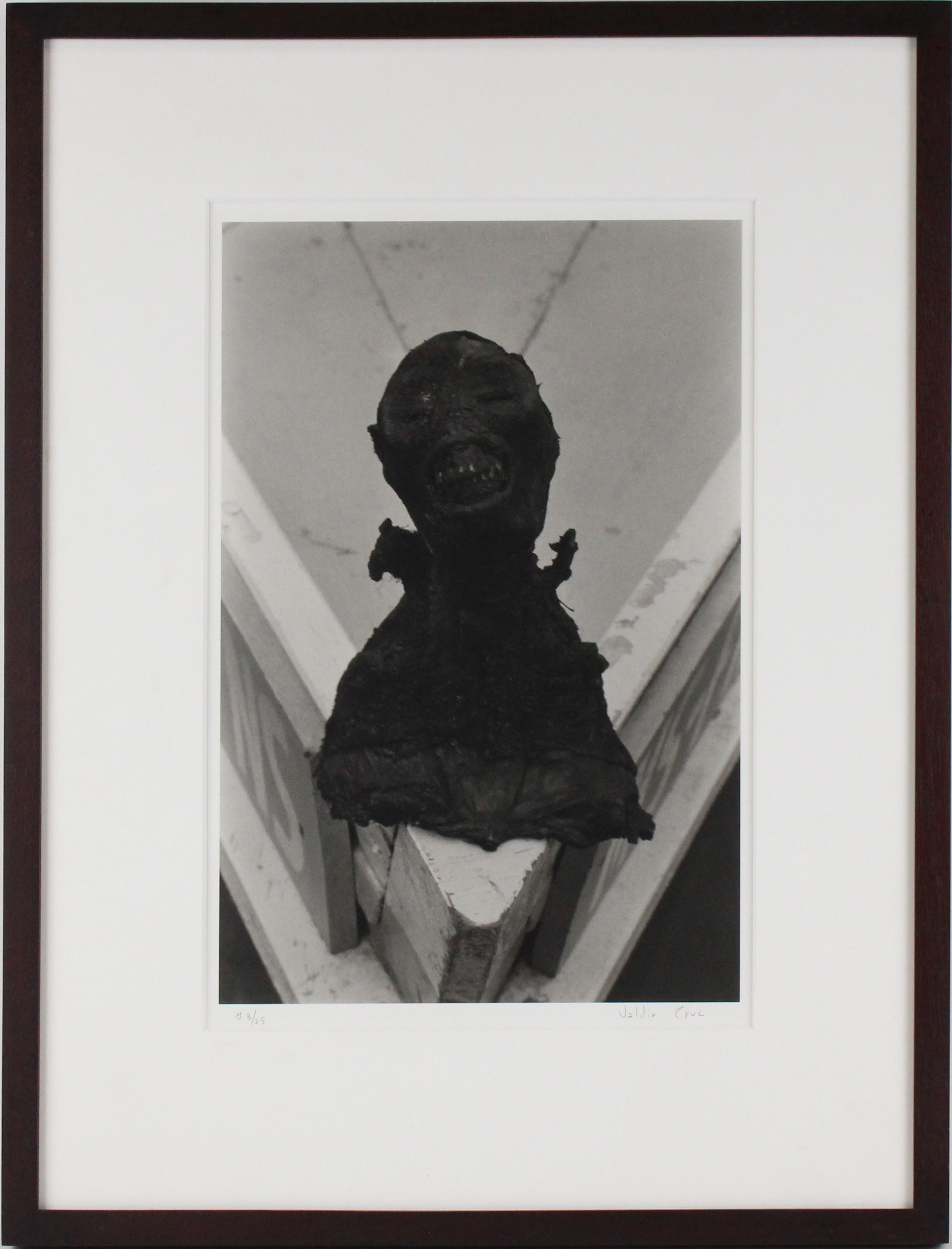 Valdir Cruz, Brazilian 1954-, Untitled, Gelatin Silver Print, Selenium Toned