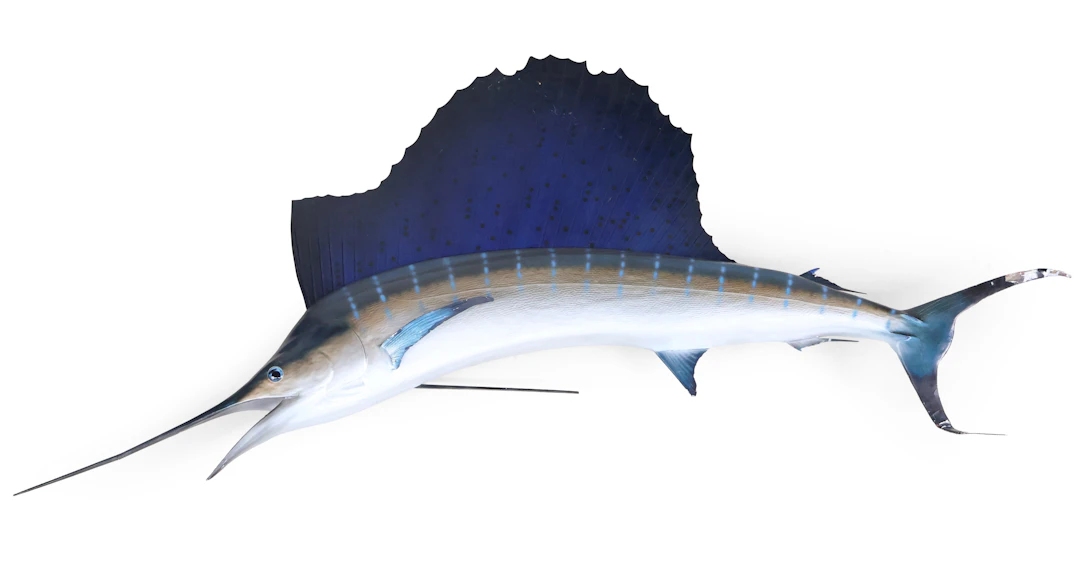 Sailfish Wall Mount Replica