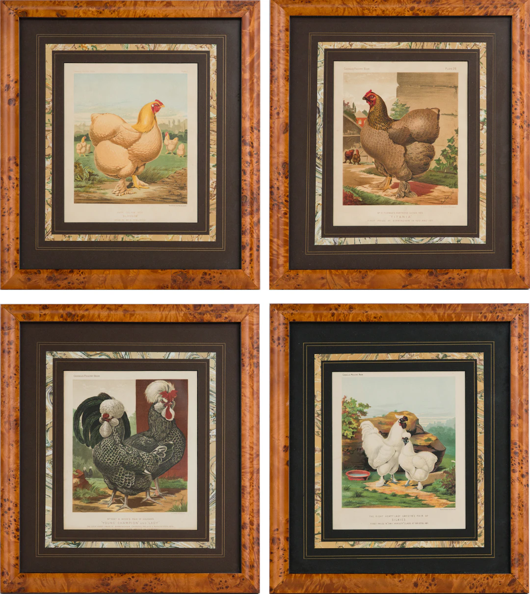 J.W. Ludlow, Four Chicken, Prints