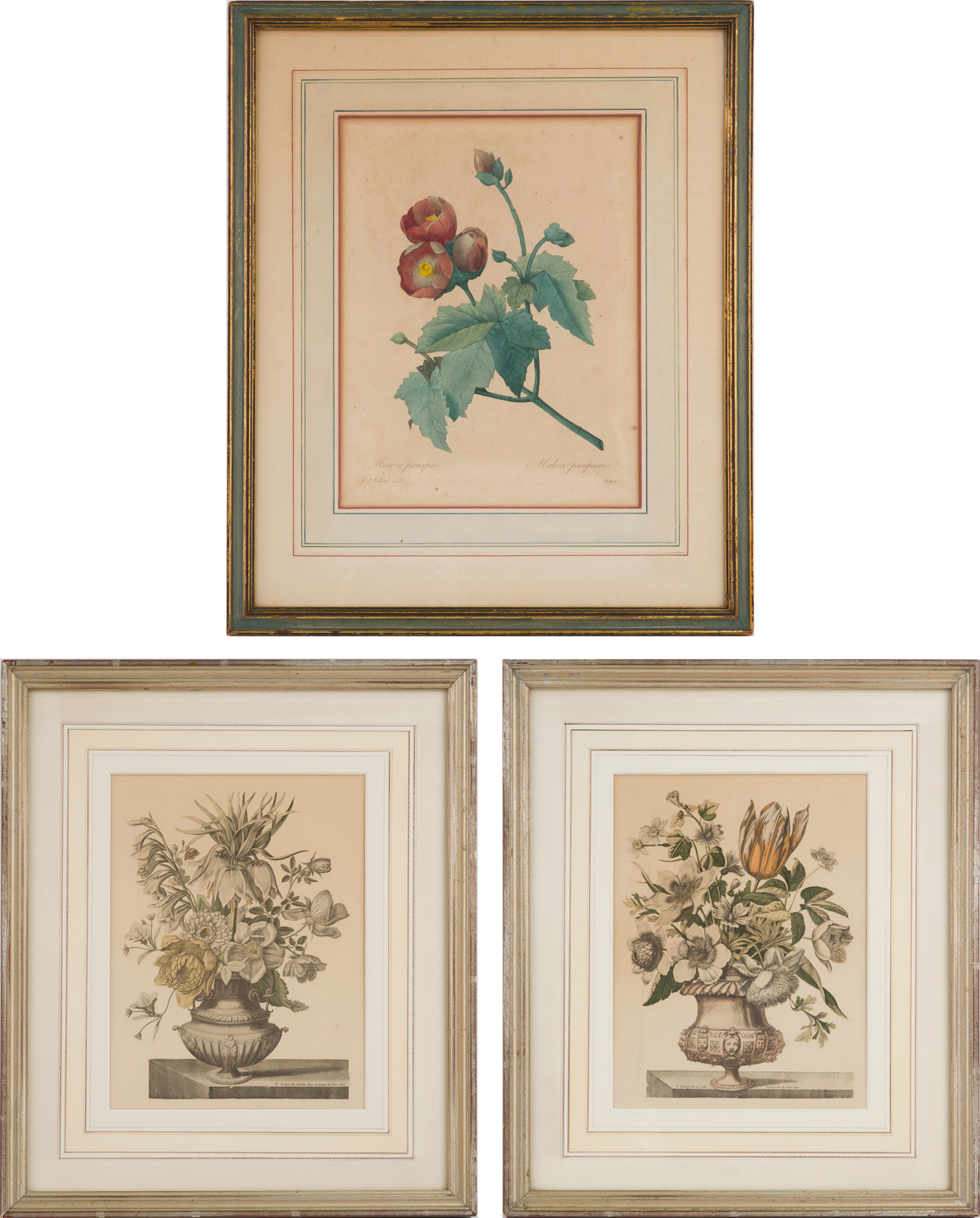 Three Botanical, Prints