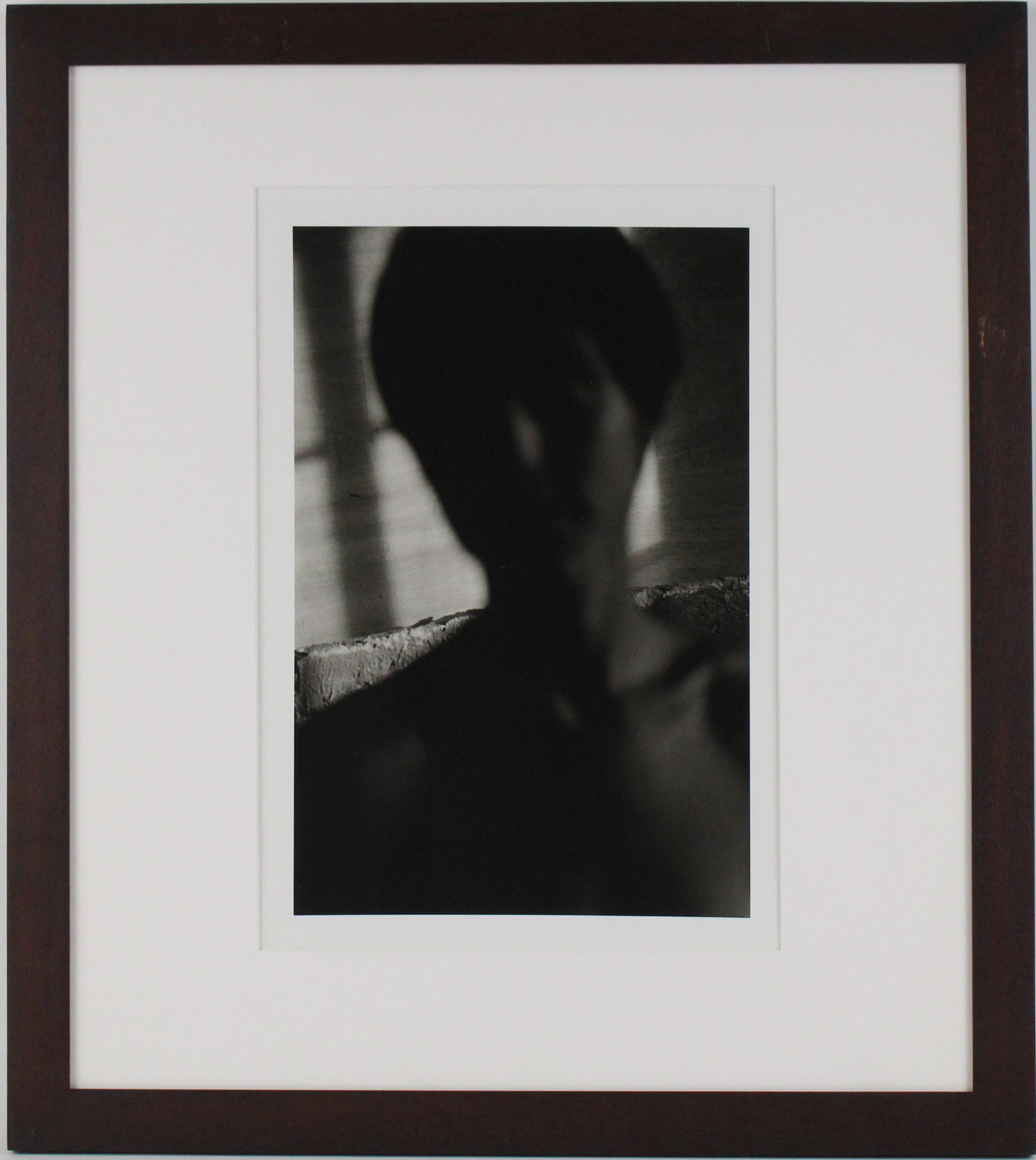 Philippe Pache, Swiss 1961-, Barbare, Gelatin Silver Print, Selenium Toned