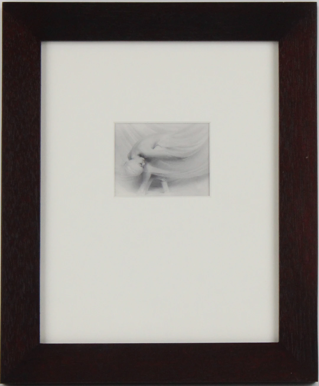Lynn Bianchi, American 1944-, Wings, Silver Gelatin Print Bathed in Gold