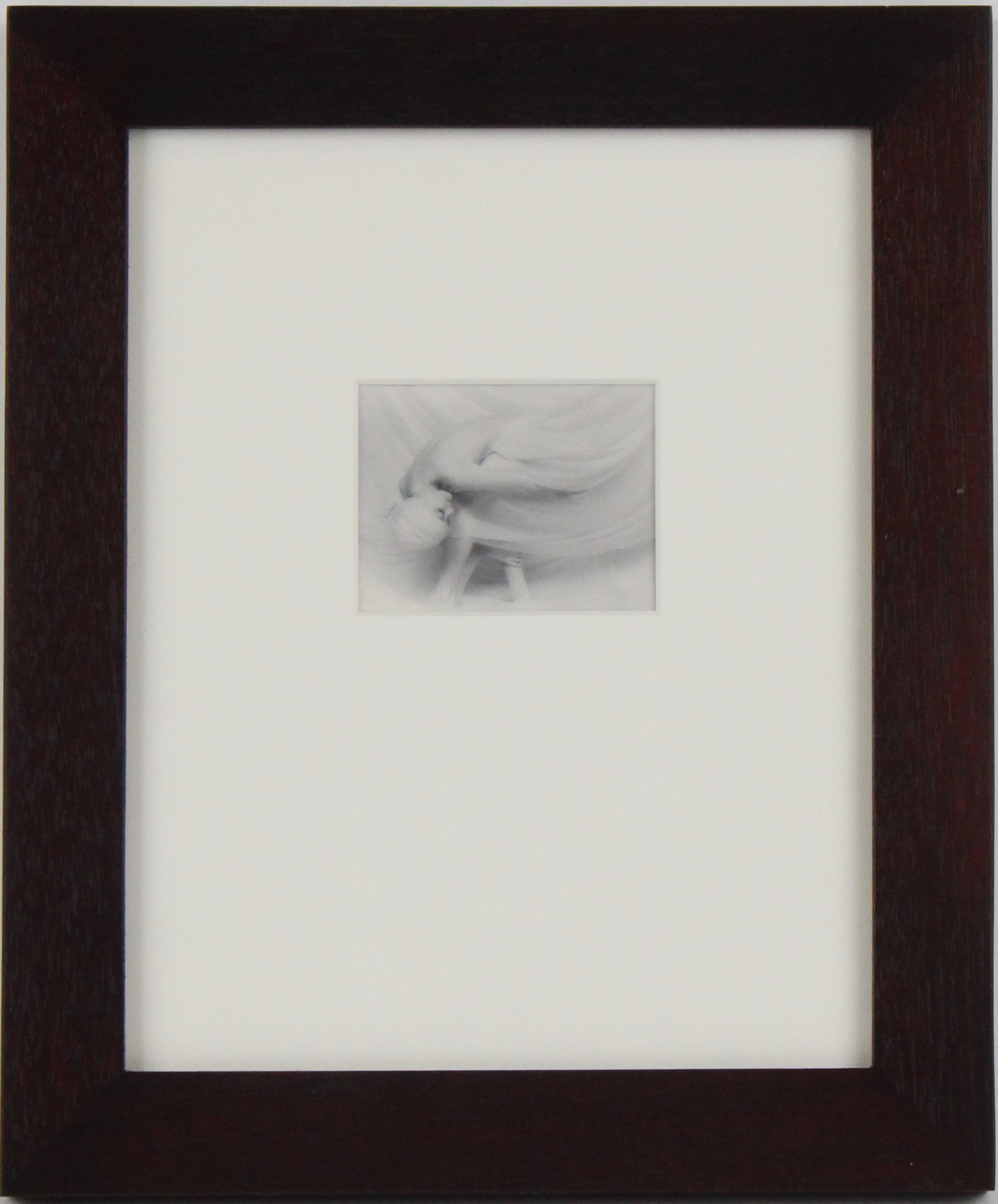 Lynn Bianchi, American 1944-, Wings, Silver Gelatin Print Bathed in Gold