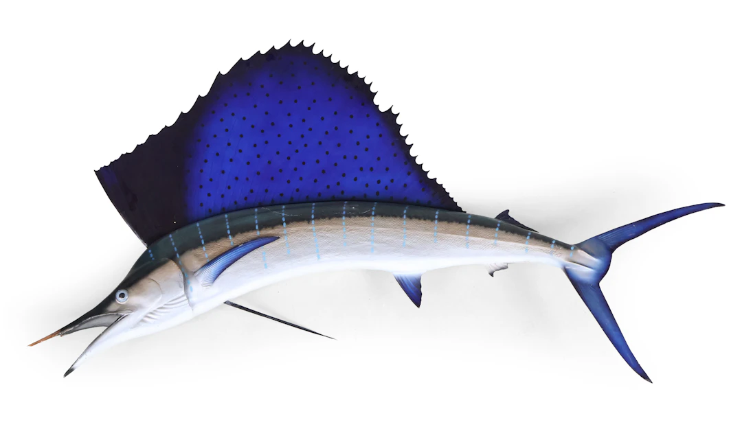 Sailfish Wall Mount Replica