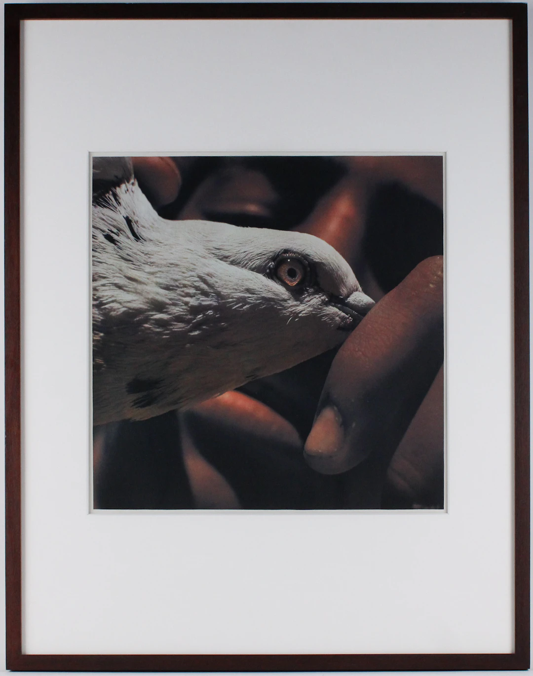 Didier Ben Loulou, French-Israeli 1958-, Jerusalem, Fresson Print