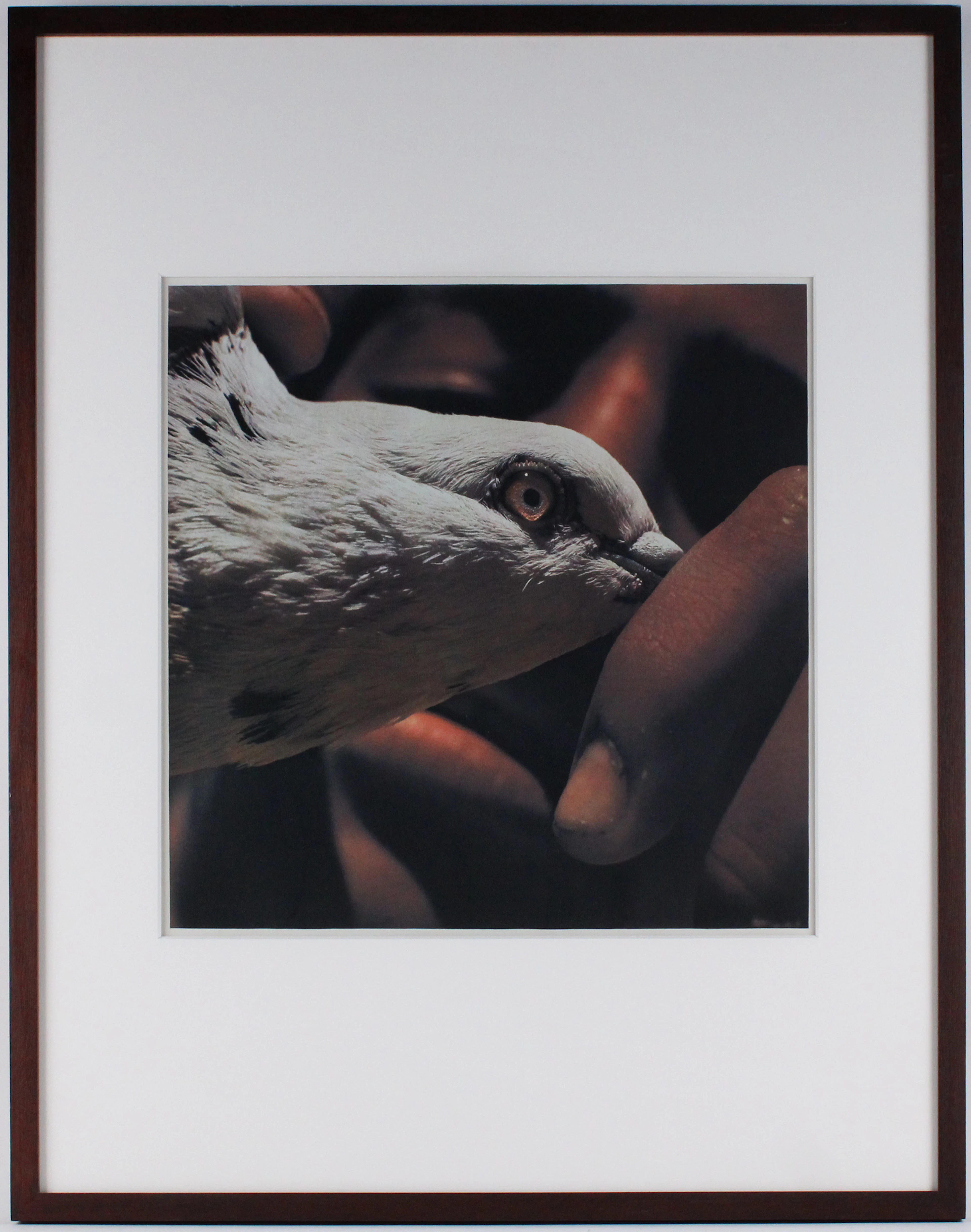 Didier Ben Loulou, French-Israeli 1958-, Jerusalem, Fresson Print