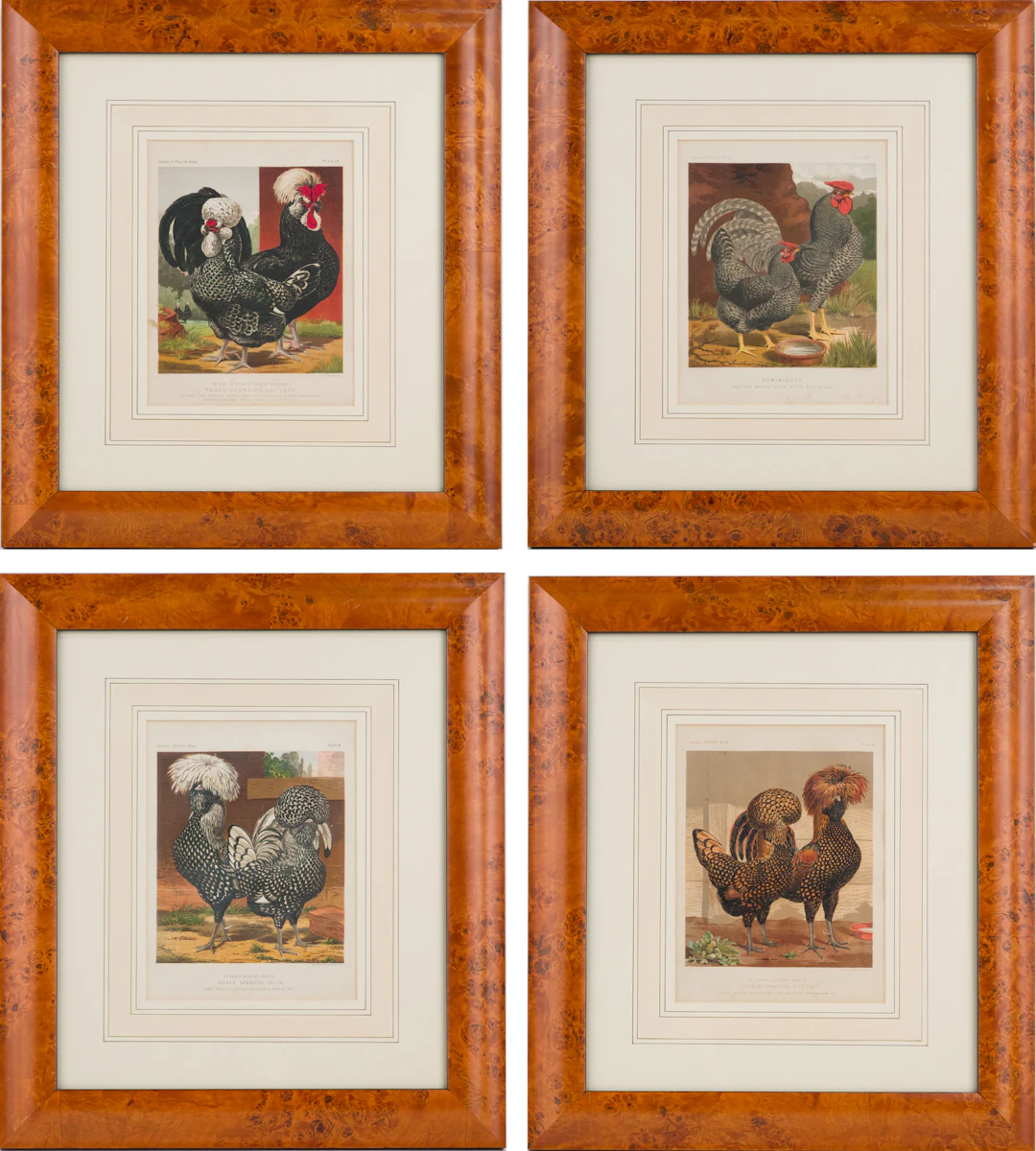J.W. Ludlow, Four Chicken, Prints