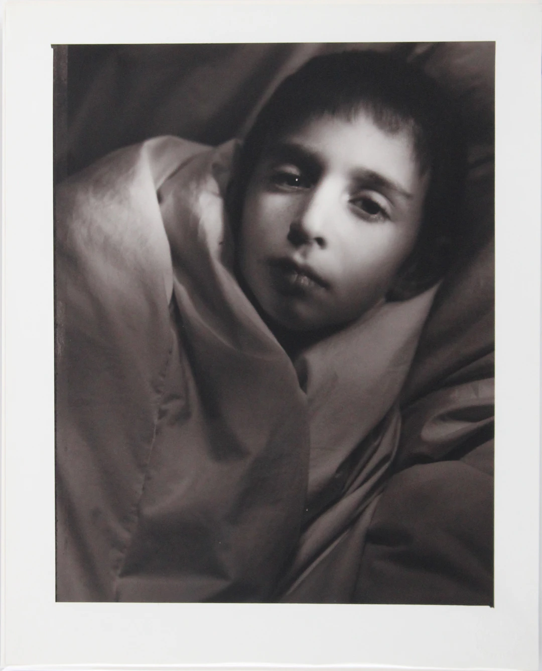 William Ropp, French 1960-, Untitled, Gelatin Silver Print, Selenium Toned