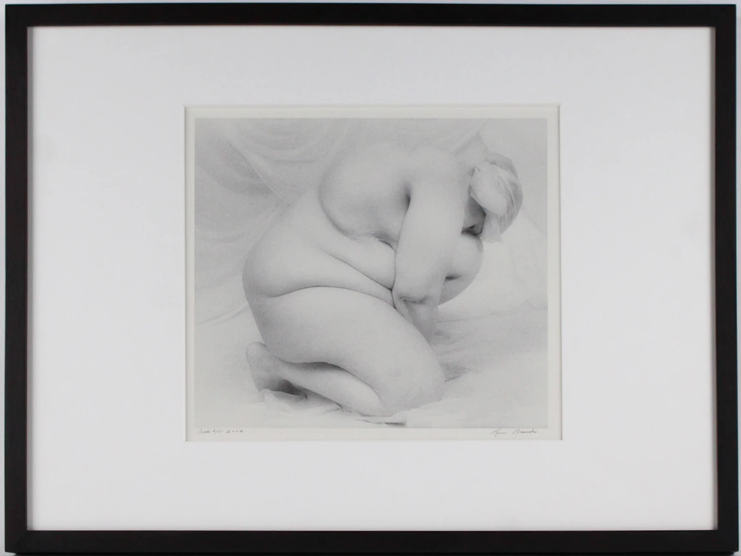 Lynn Bianchi, American 1944-, Rock, Silver Gelatin Print Bathed in Gold