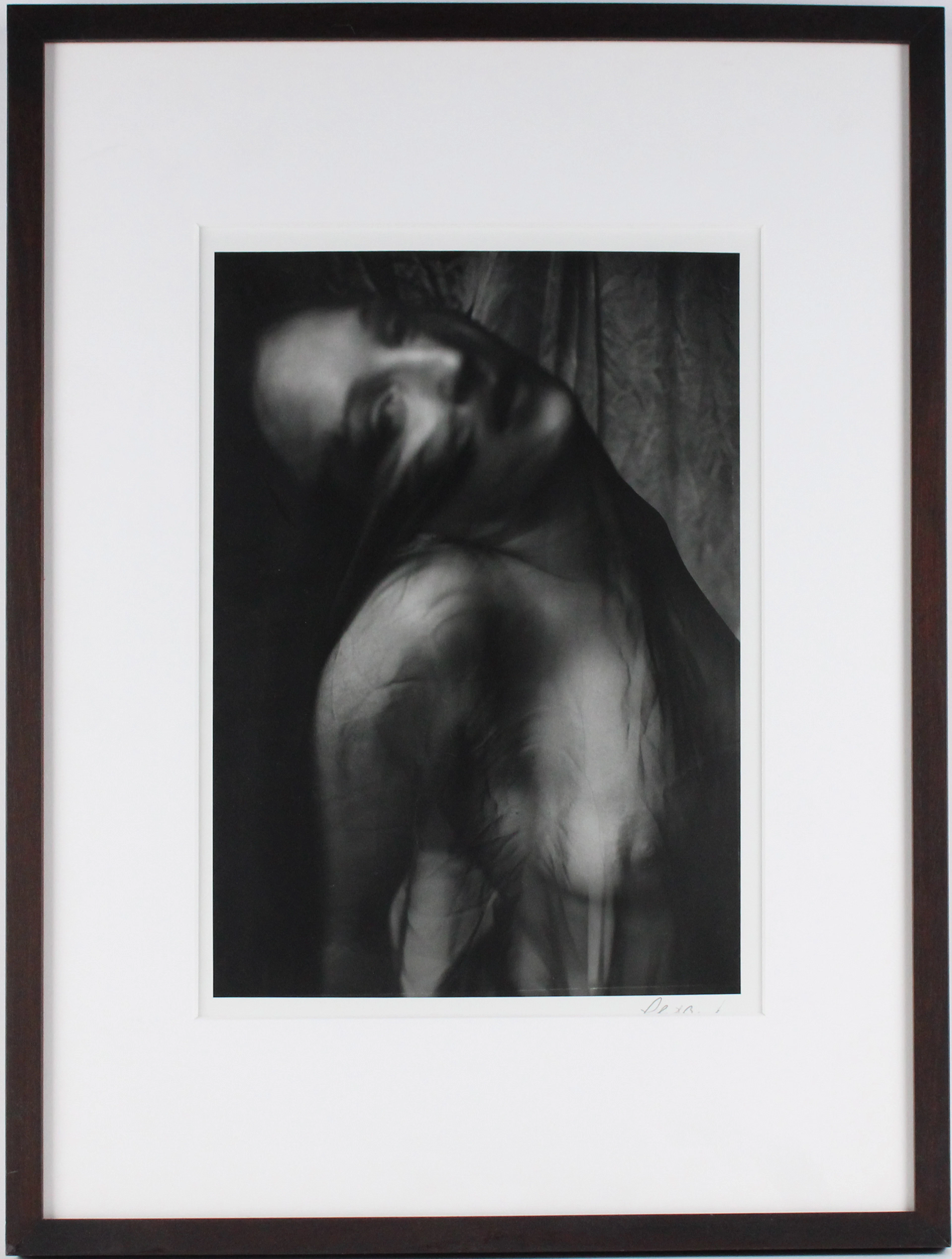 Robert Bianchi, American 1944-, Nude and Cloth, Gelatin Silver Print