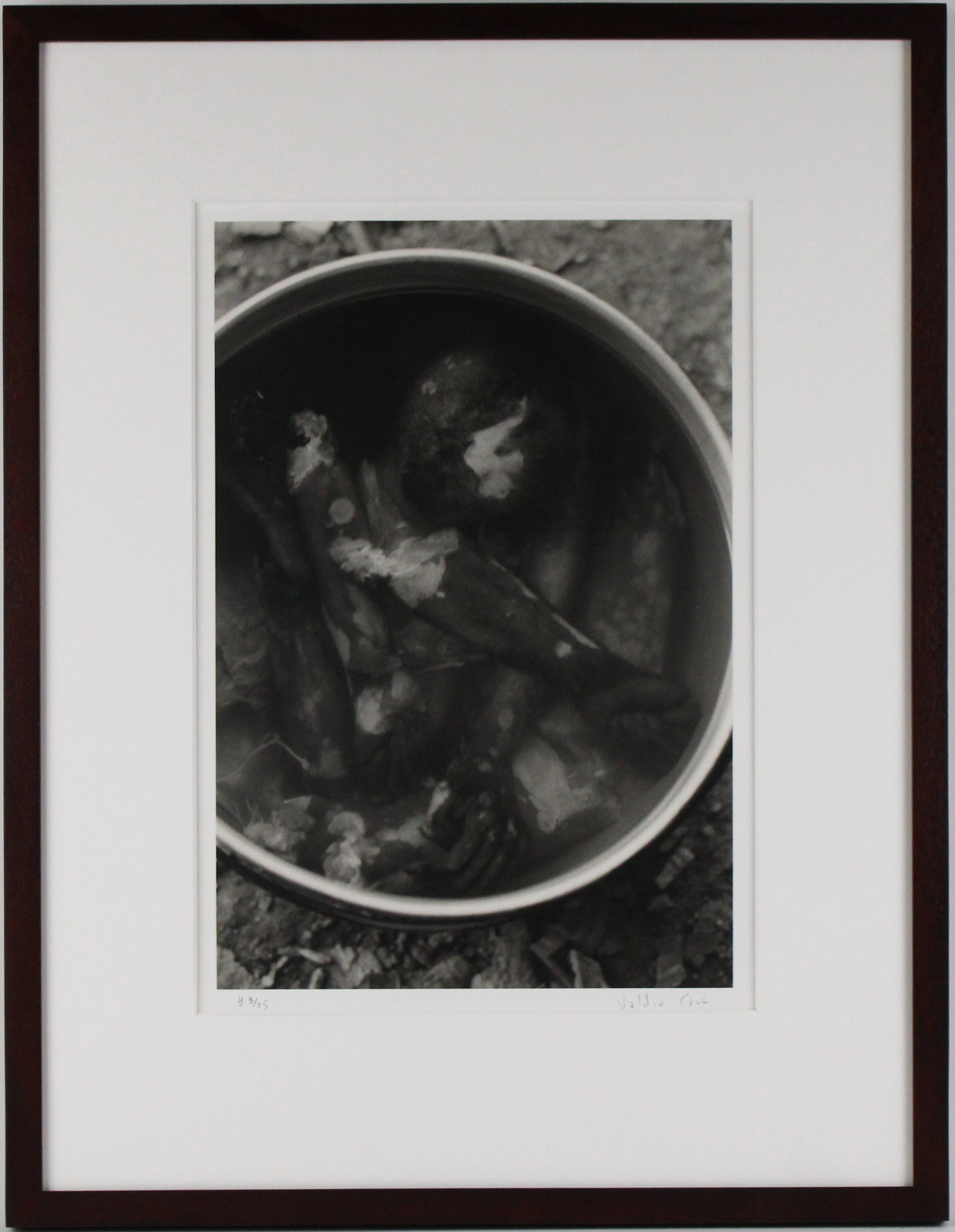 Valdir Cruz, Brazilian 1954-, Boiled Monkey, Gelatin Silver Print