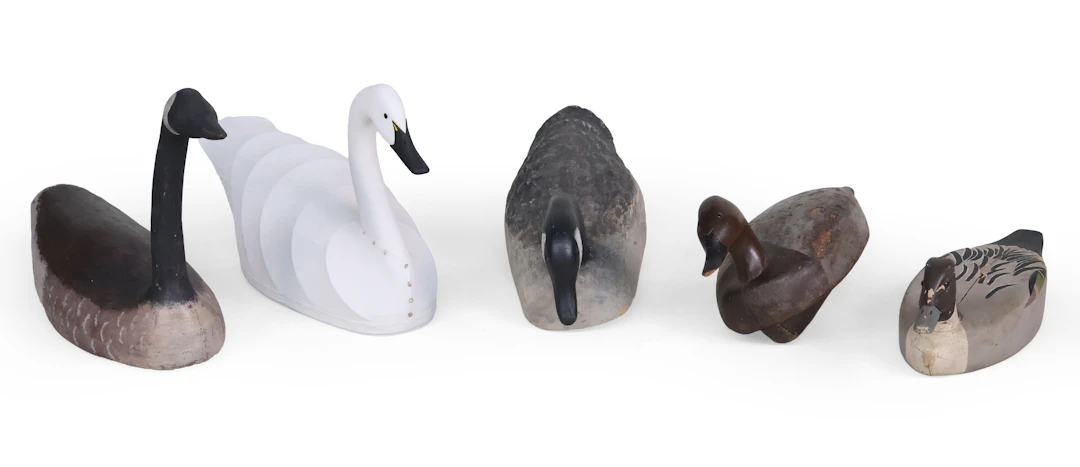 Five Decoys