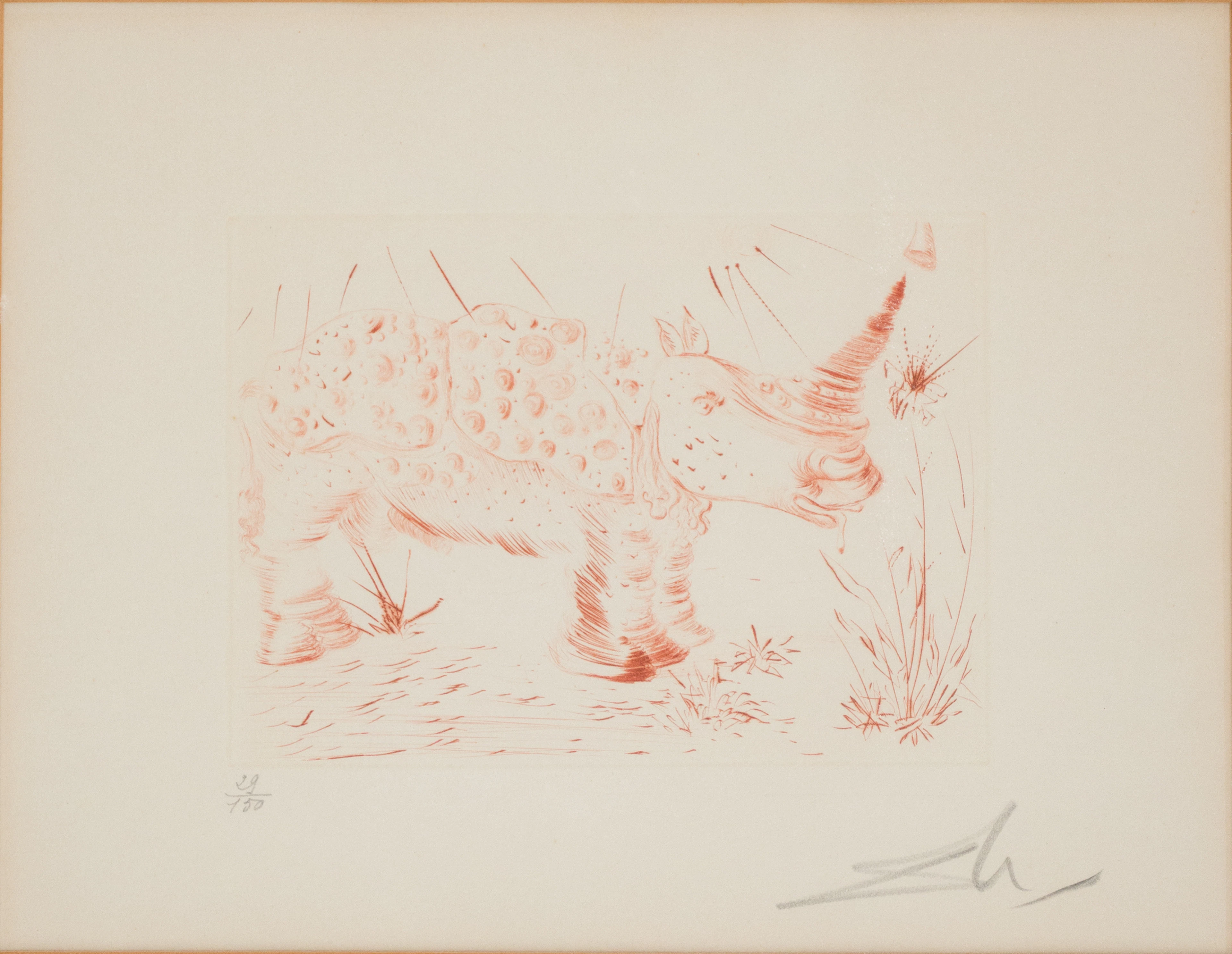 Salvador Dali, Spanish 1904-1989, Rhino, Etching