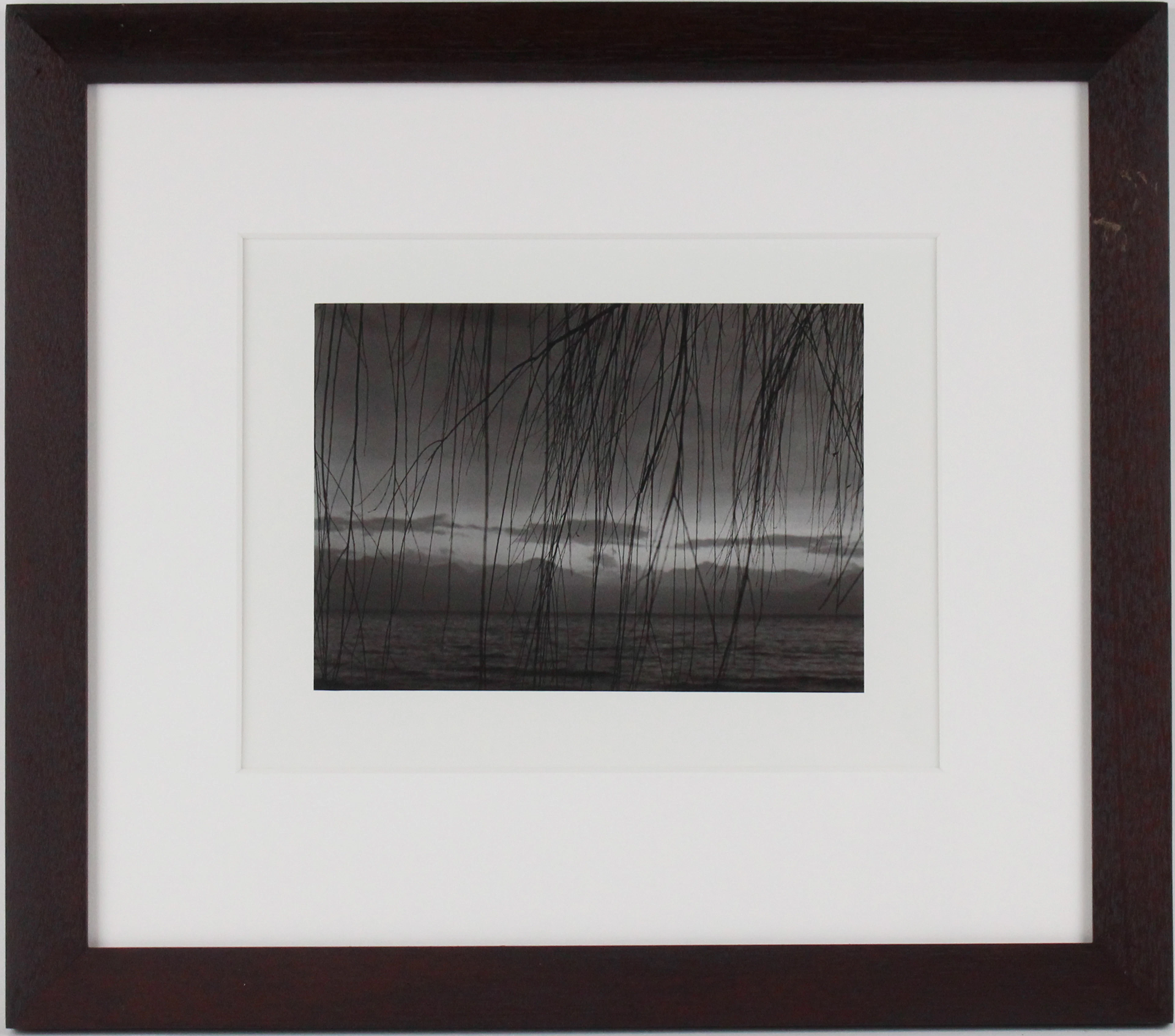 Philippe Pache, Swiss 1961-, Le Léman (Lake Geneva), Gelatin Silver