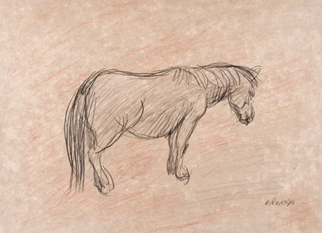 577 Wilhelm Rudolph, Pony im Regen / Liegendes Kamel. Wohl 1940er/1950er Jahre.