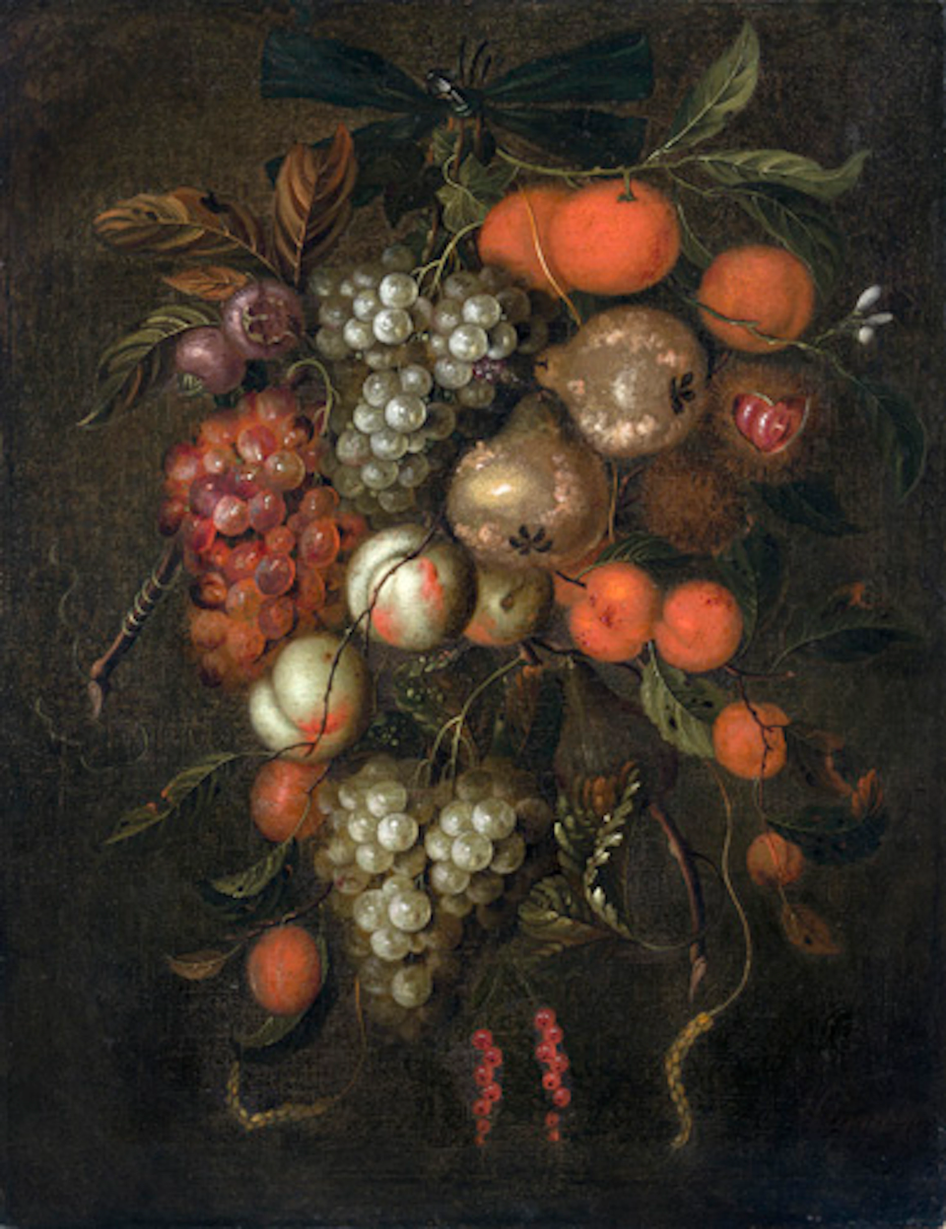 006 Jan Pauwel Gillemans d.Ä. (zugeschr.) "Feston mit Früchten". Um 1670.