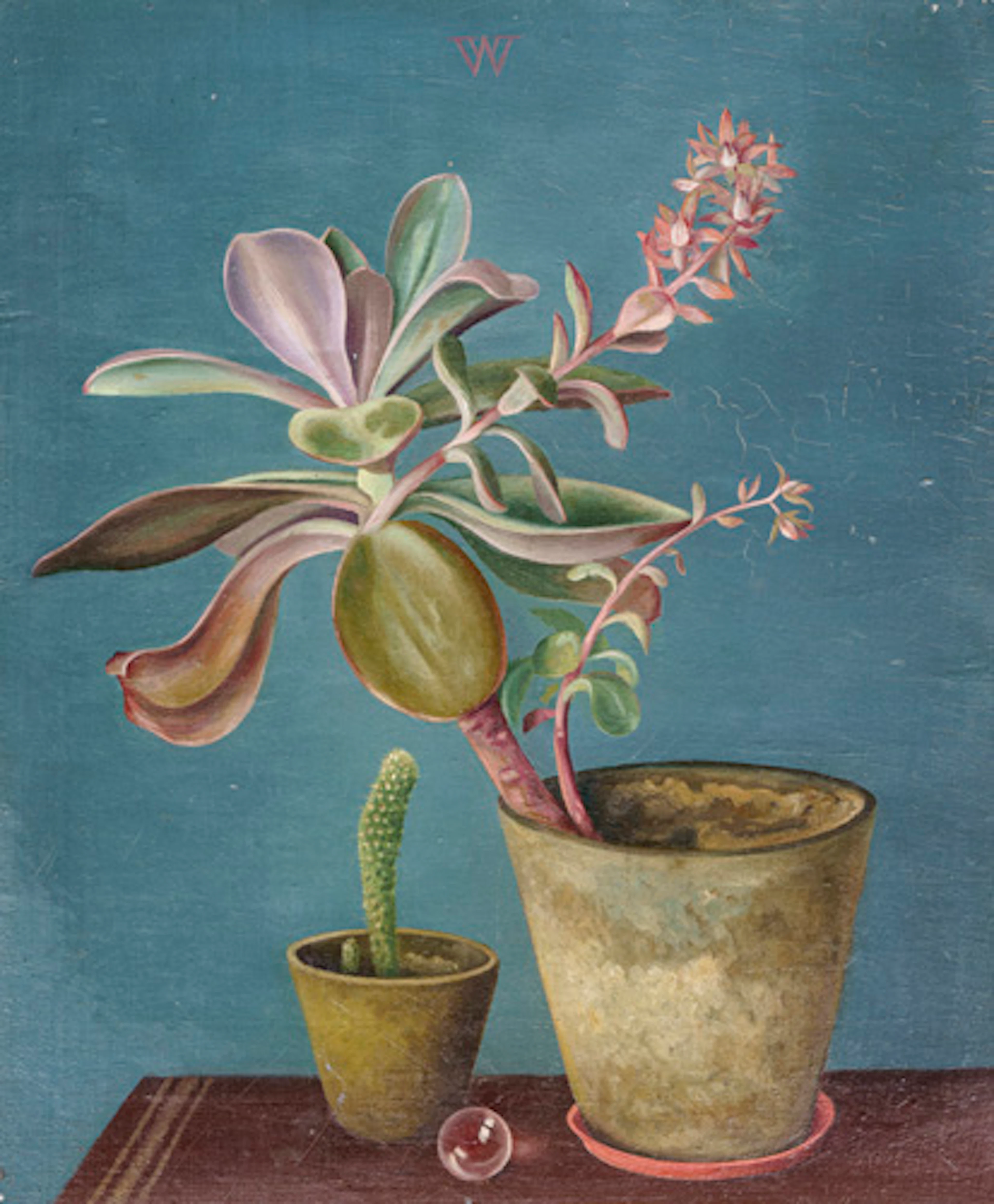 096 Willy Wolff, Stillleben mit Echeveria, Säulenkaktus und Glaskugel. Um 1935.