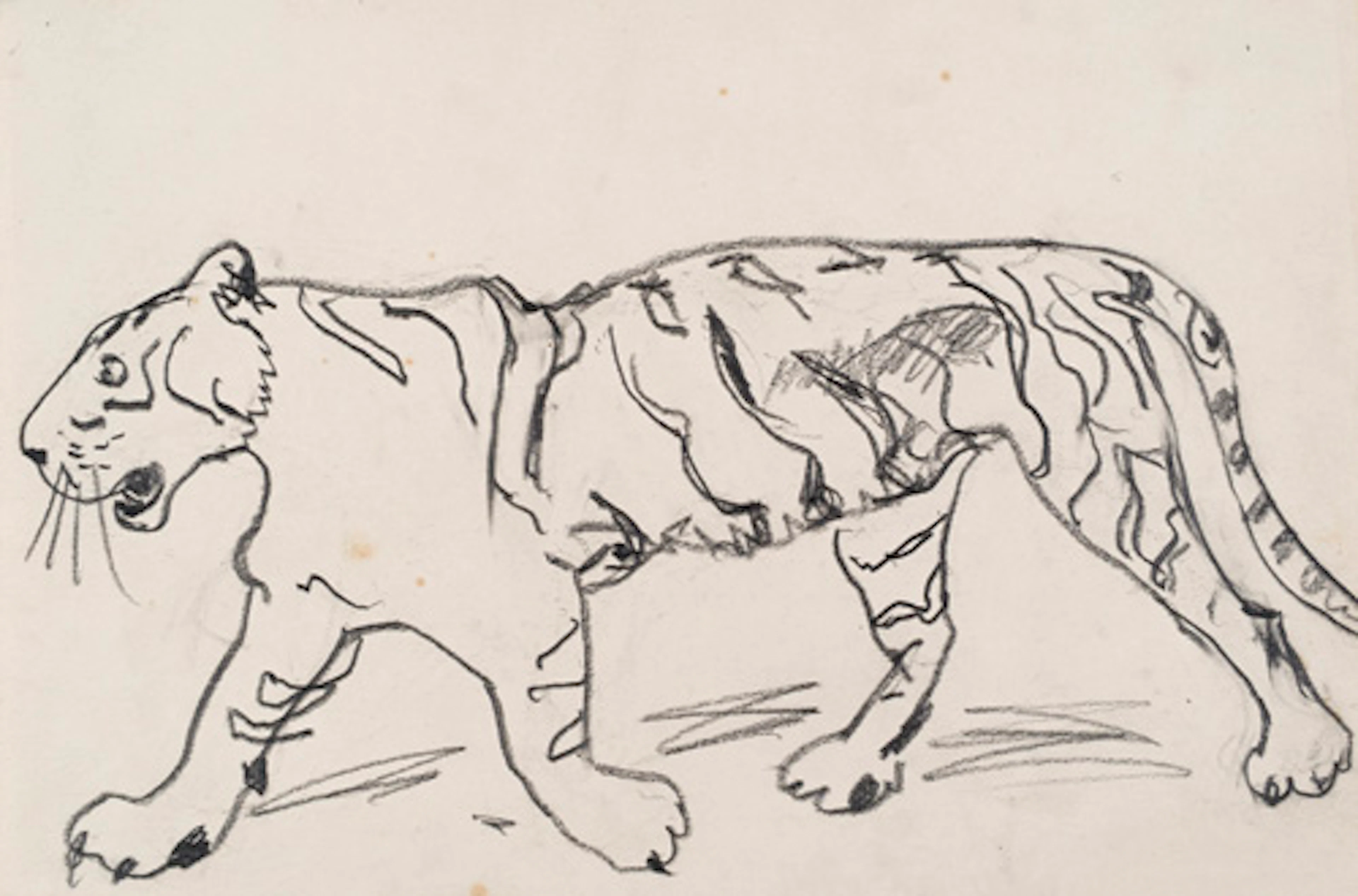 347 Carl Lohse, Laufender Tiger / Männlicher Akt in Bewegung / Weiblicher