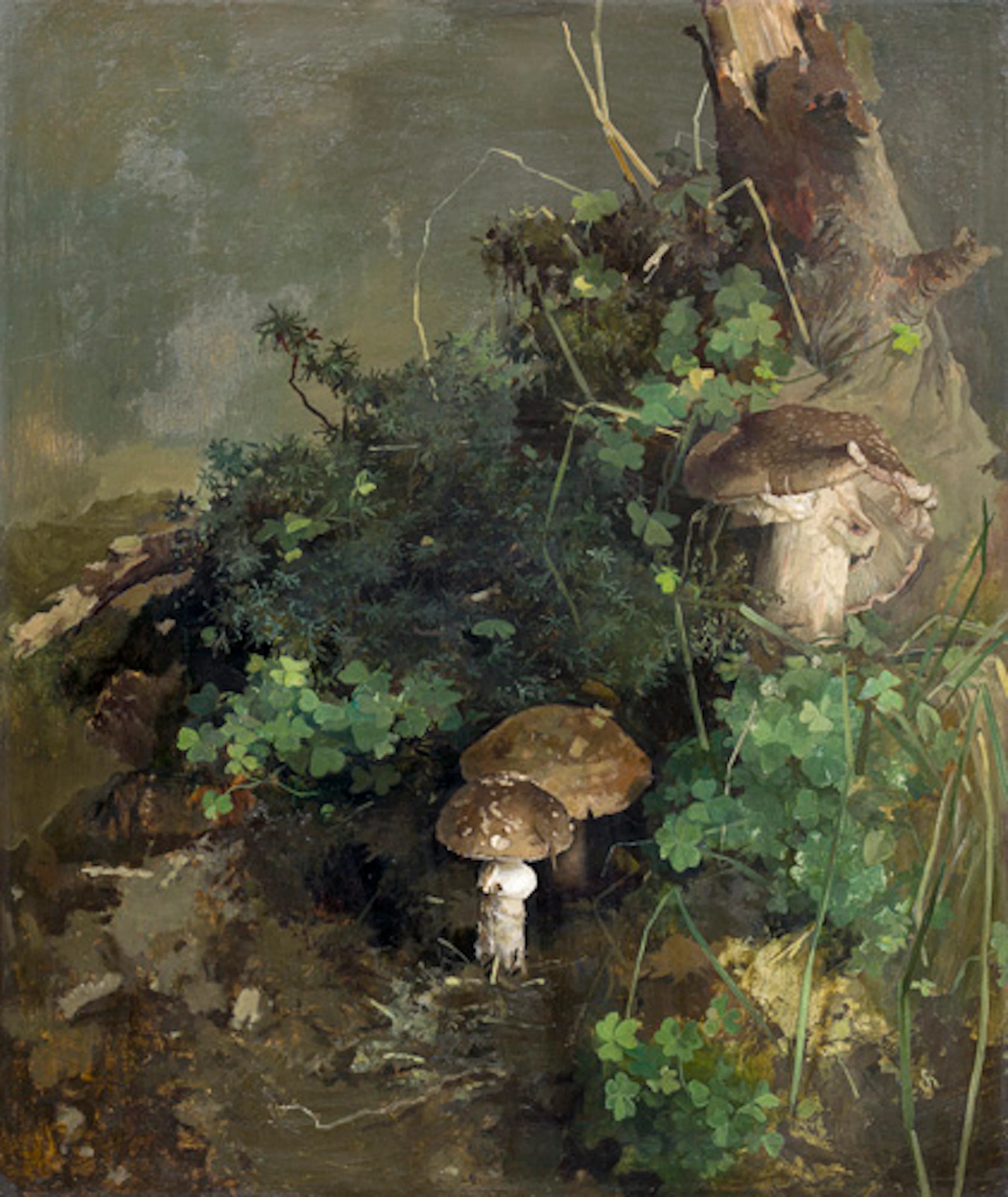 072 Willy Kriegel, Waldbodenstück mit Pilzen. Um 1940.