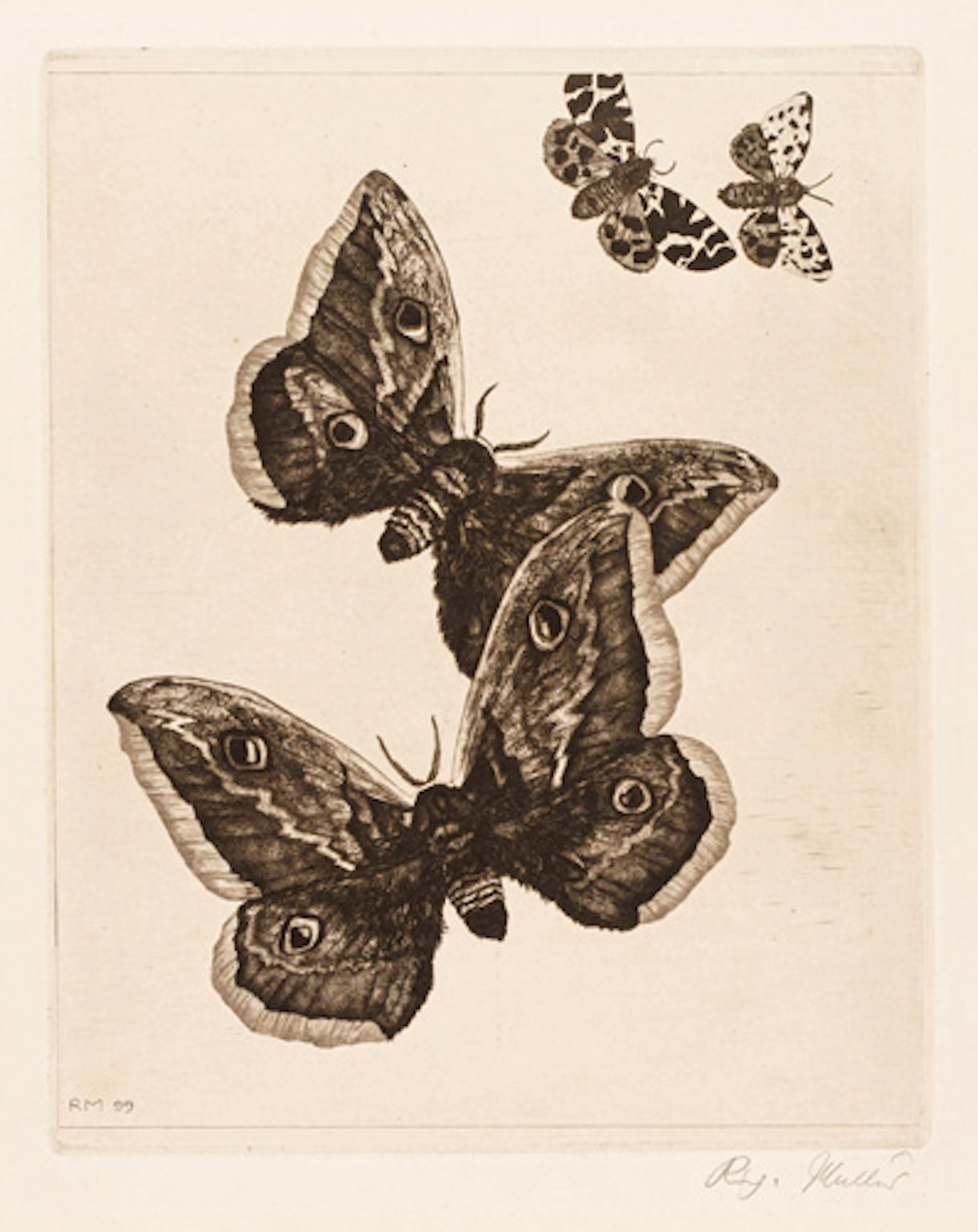 355 Richard Müller "Vier Schmetterlinge". 1899.
