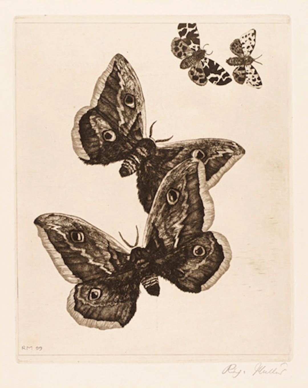 355 Richard Müller "Vier Schmetterlinge". 1899.