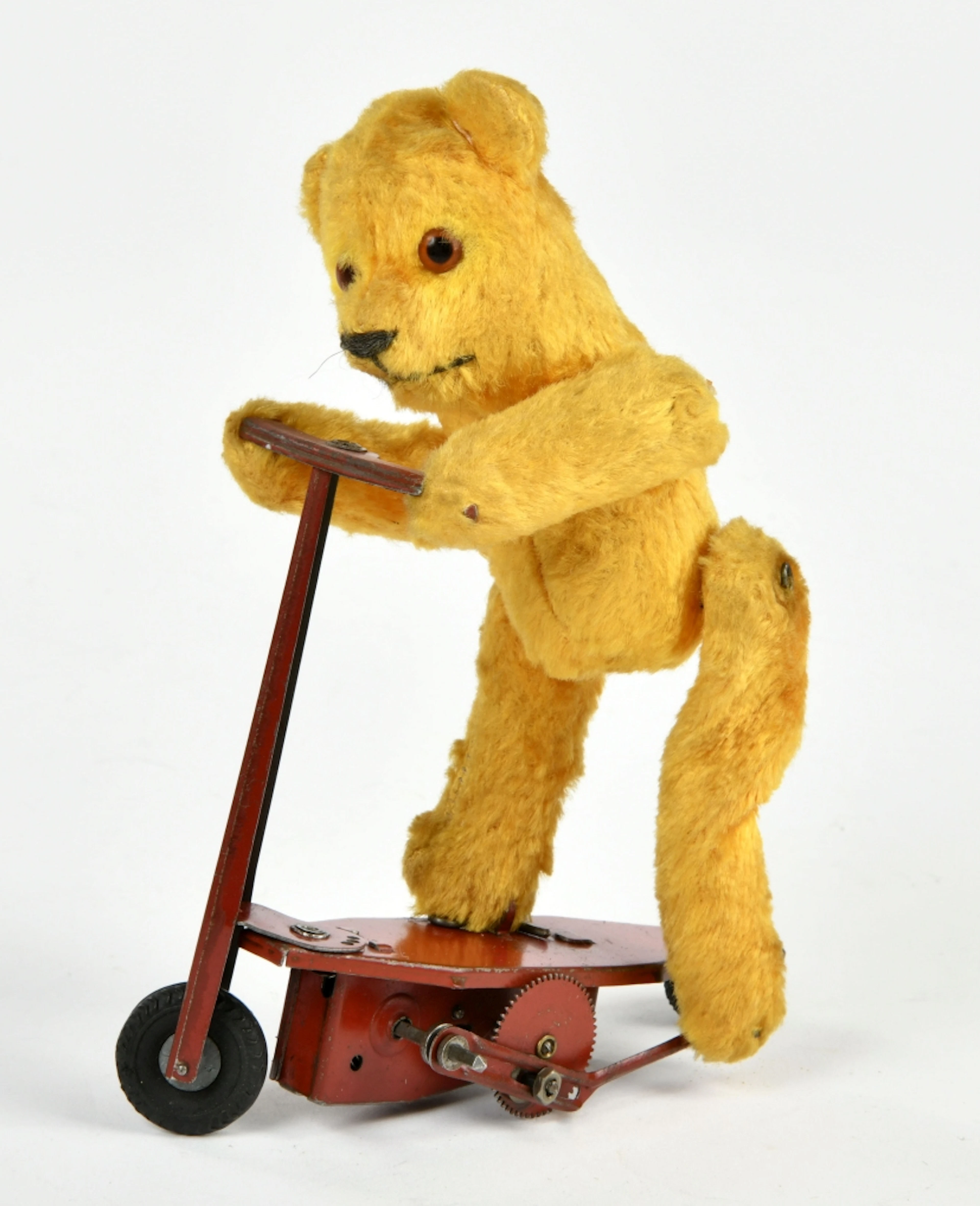 Fewo, Bär auf Roller