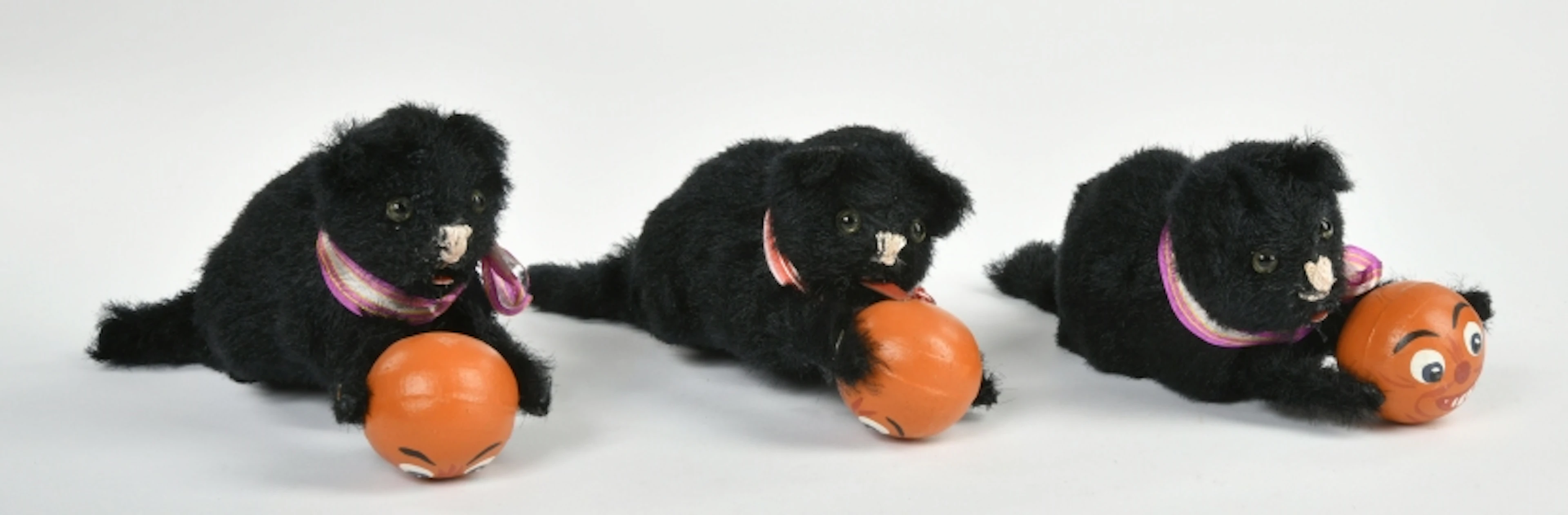 3 Katzen mit Kürbisball