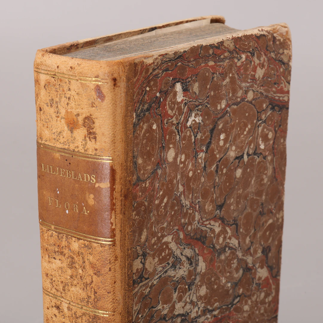 SVENSK FLORA, bok, Samuel Liljeblad, 1816.