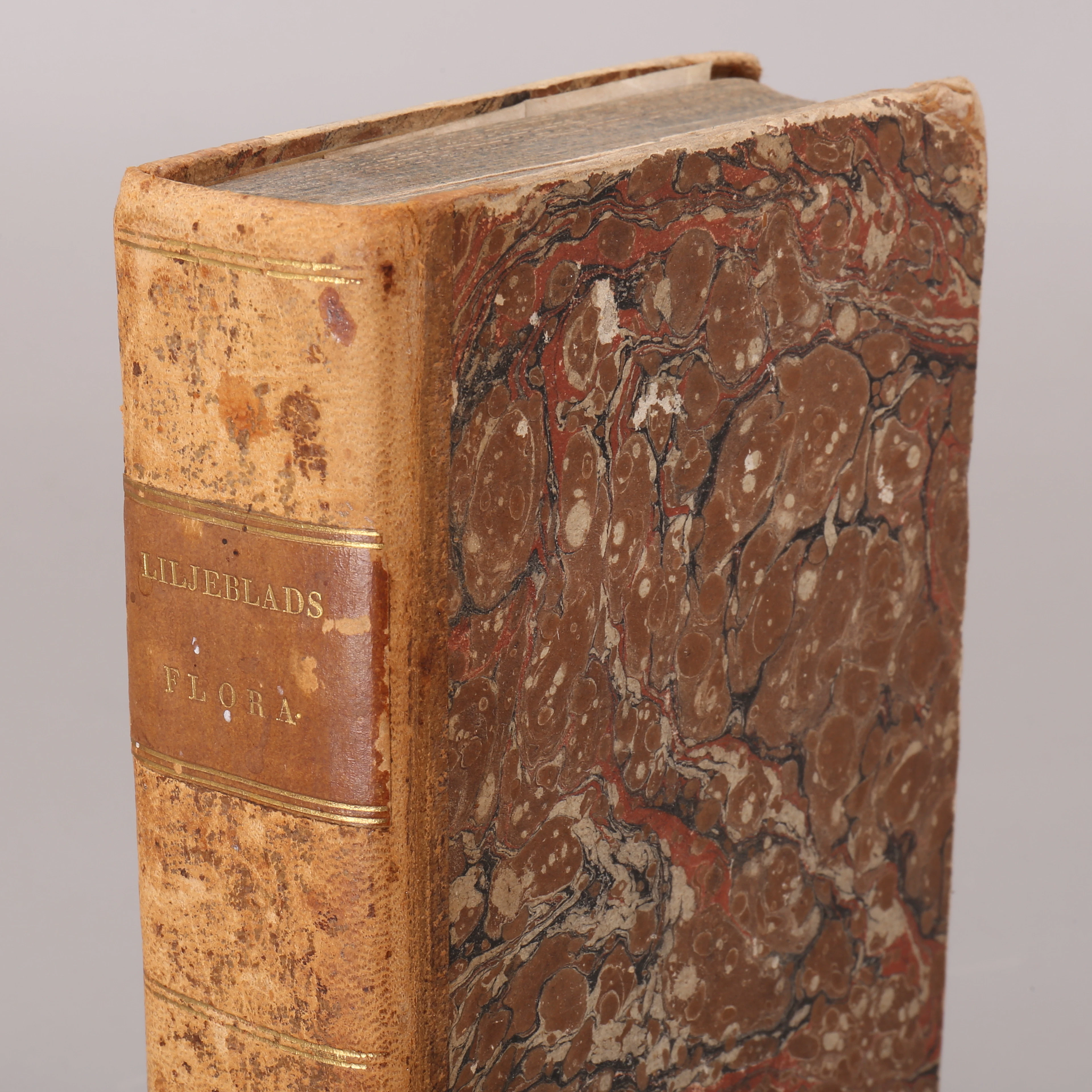 SVENSK FLORA, bok, Samuel Liljeblad, 1816.