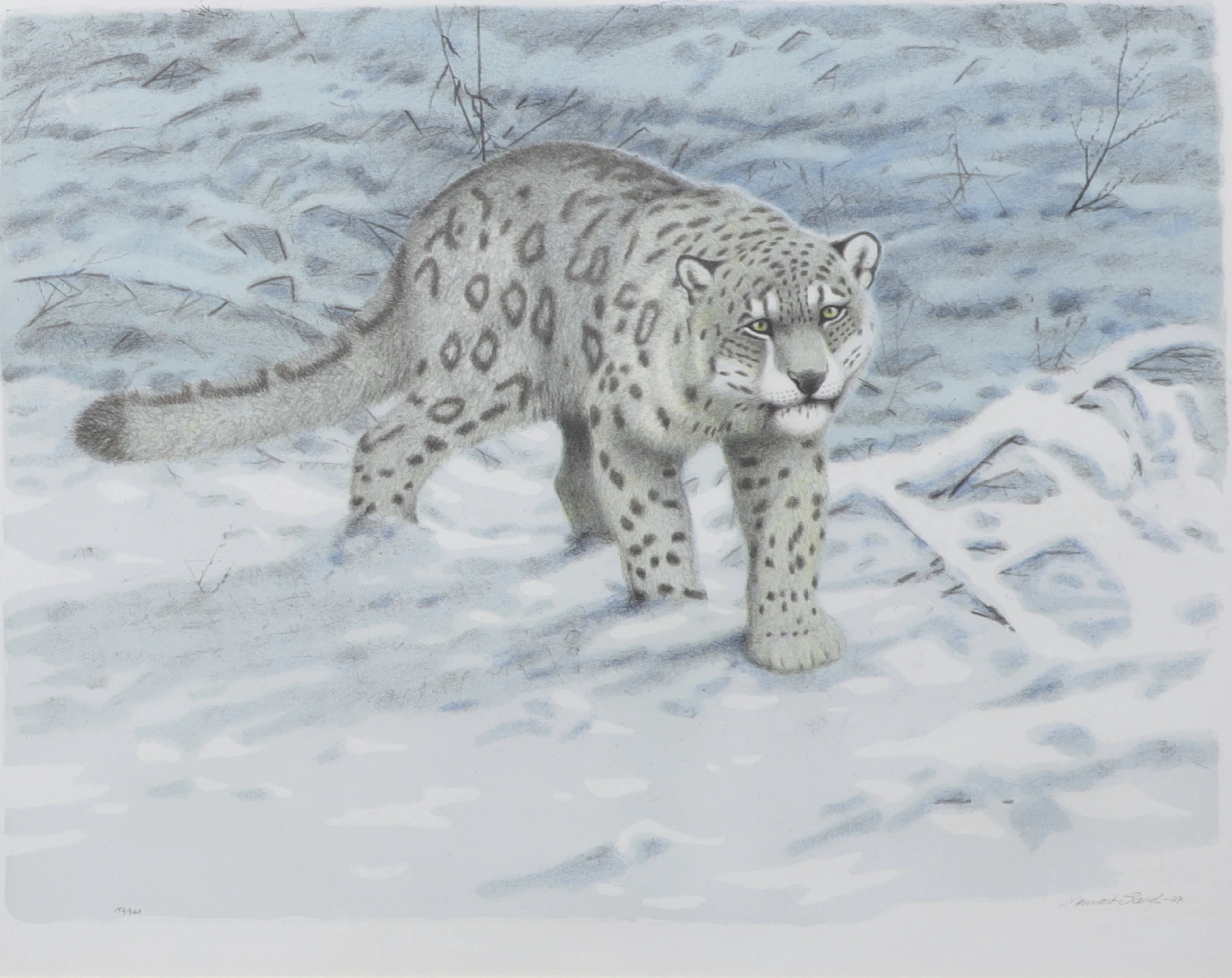 LENNART SAND. Snöleopard. Färglitografi, signerad, numrerad 156/360