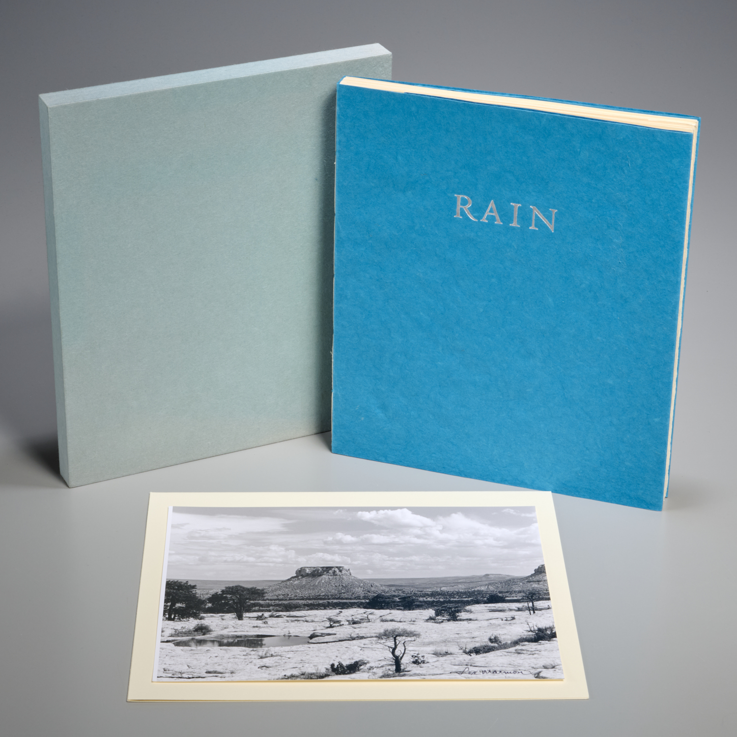 Leslie Marmon Silko, Rain, 1996