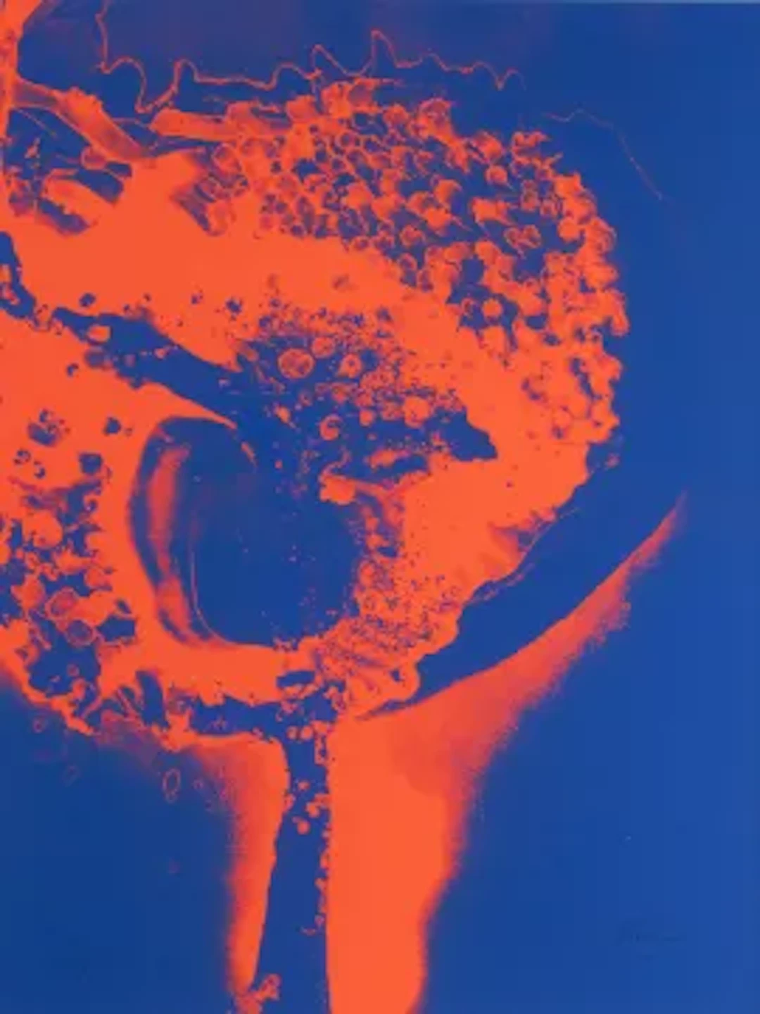 Otto Piene (1928 Bad Laasphe - 2014 Berlin) (F)
