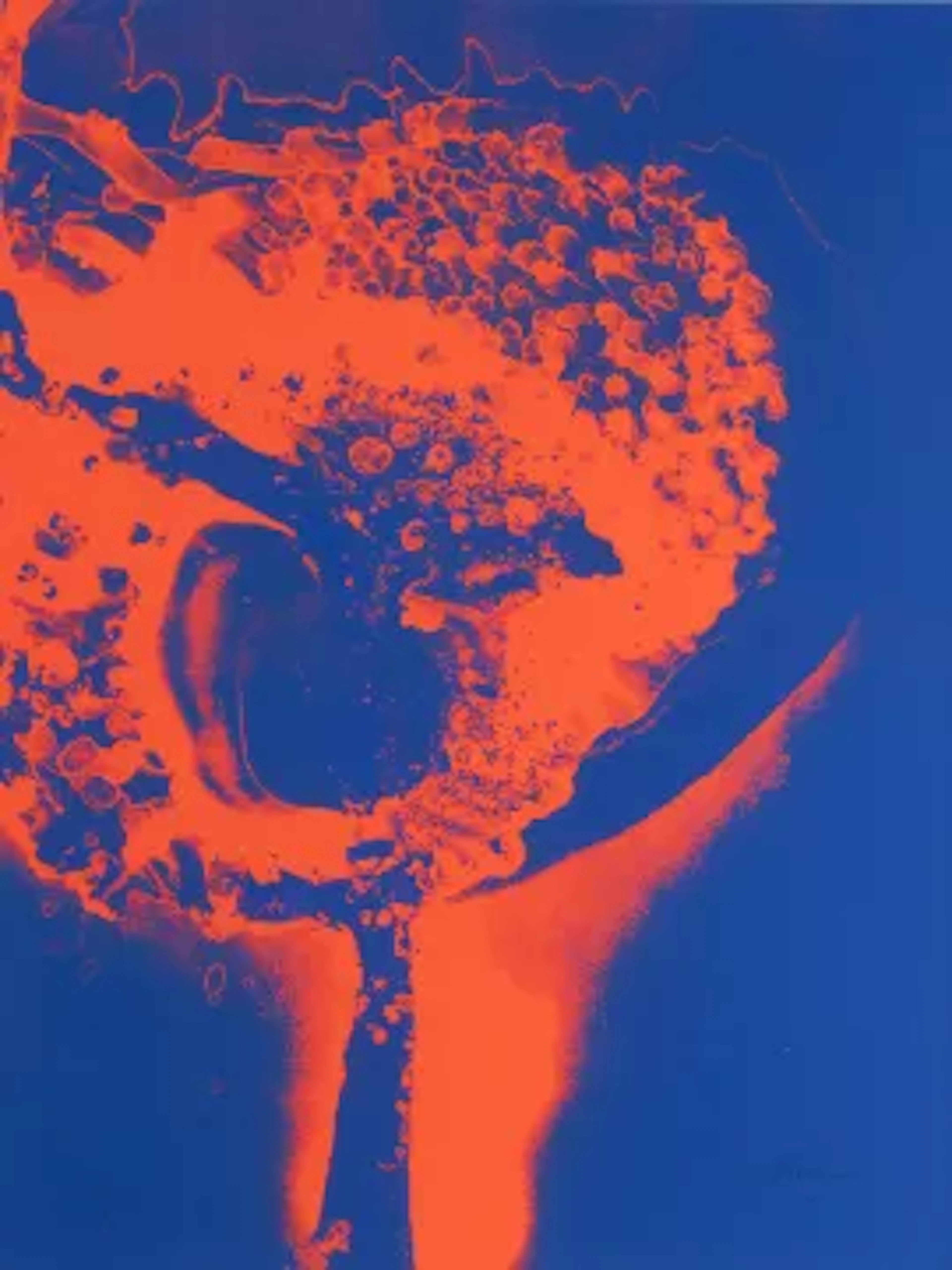 Otto Piene (1928 Bad Laasphe - 2014 Berlin) (F)