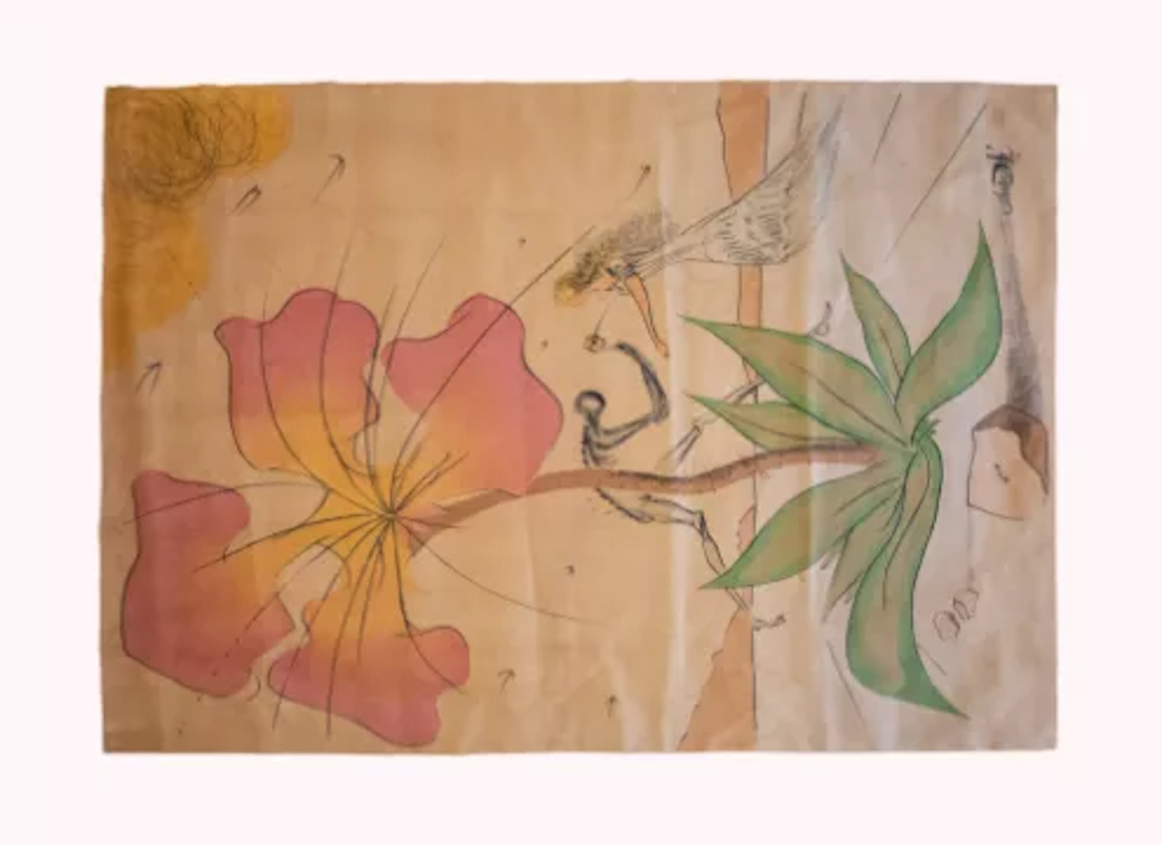 Salvador Dali (1904 Figueres - 1989 Figueres) (F)